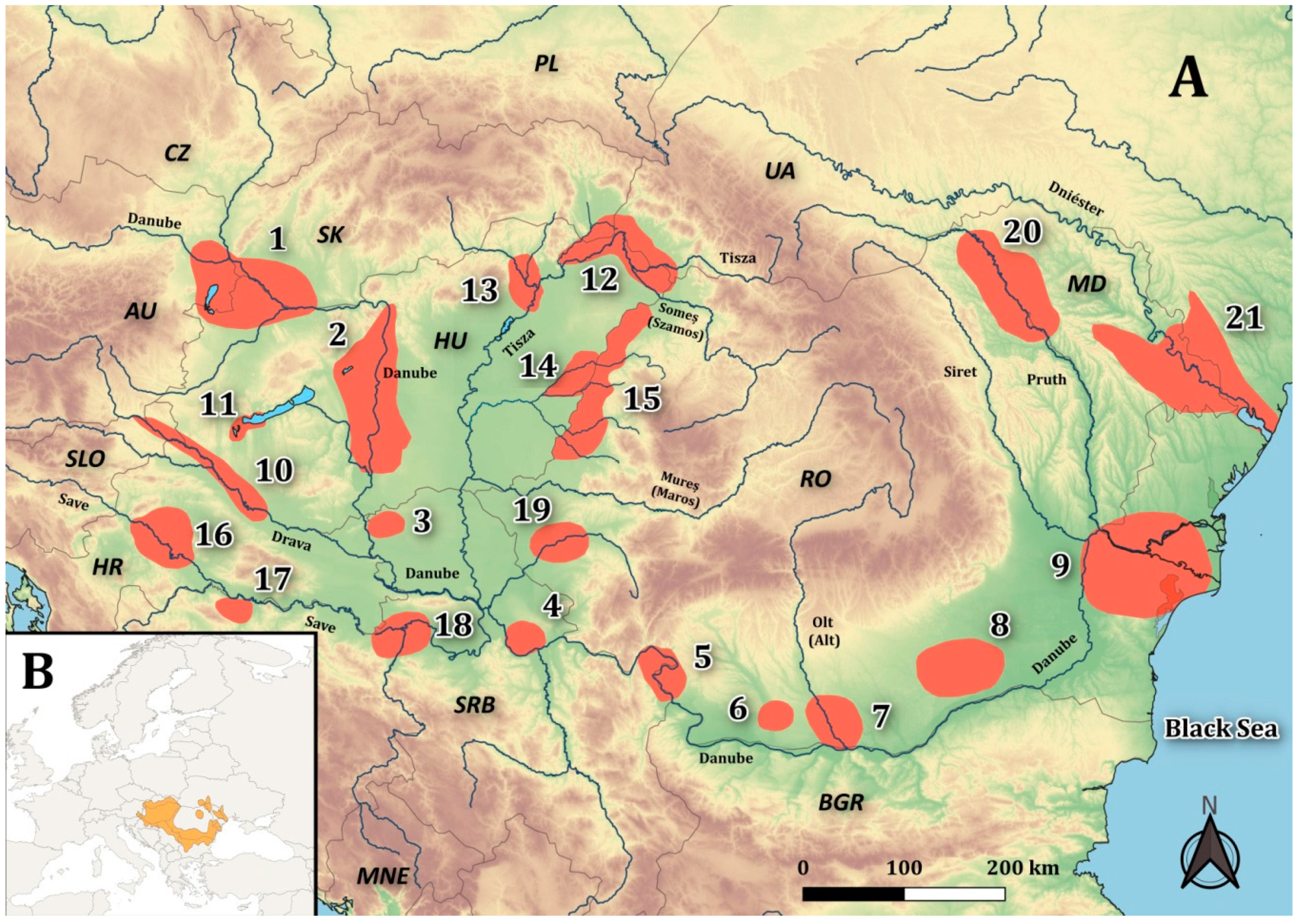 Sustainability Free Full-Text Stepping Stone Wetlands, Last Sanctuaries for European Mudminnow How Can the Human Impact, Climate Change, and Non-Native Species Drive a Fish to the Edge of Extinction?