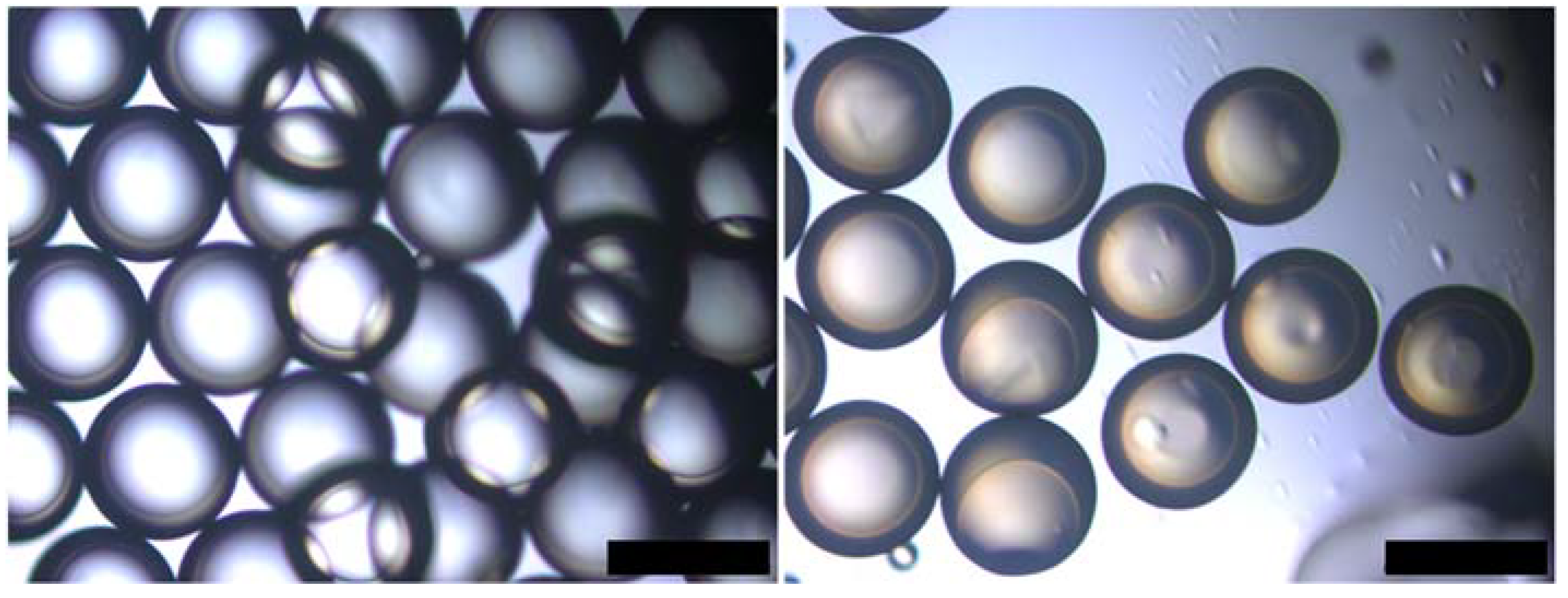 Sustainability 14 13556 g008 Sustainability 14 13556 g008