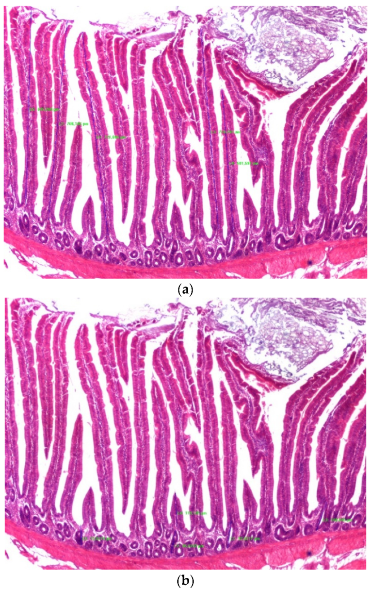 Sustainability 14 13565 g001 Sustainability 14 13565 g001
