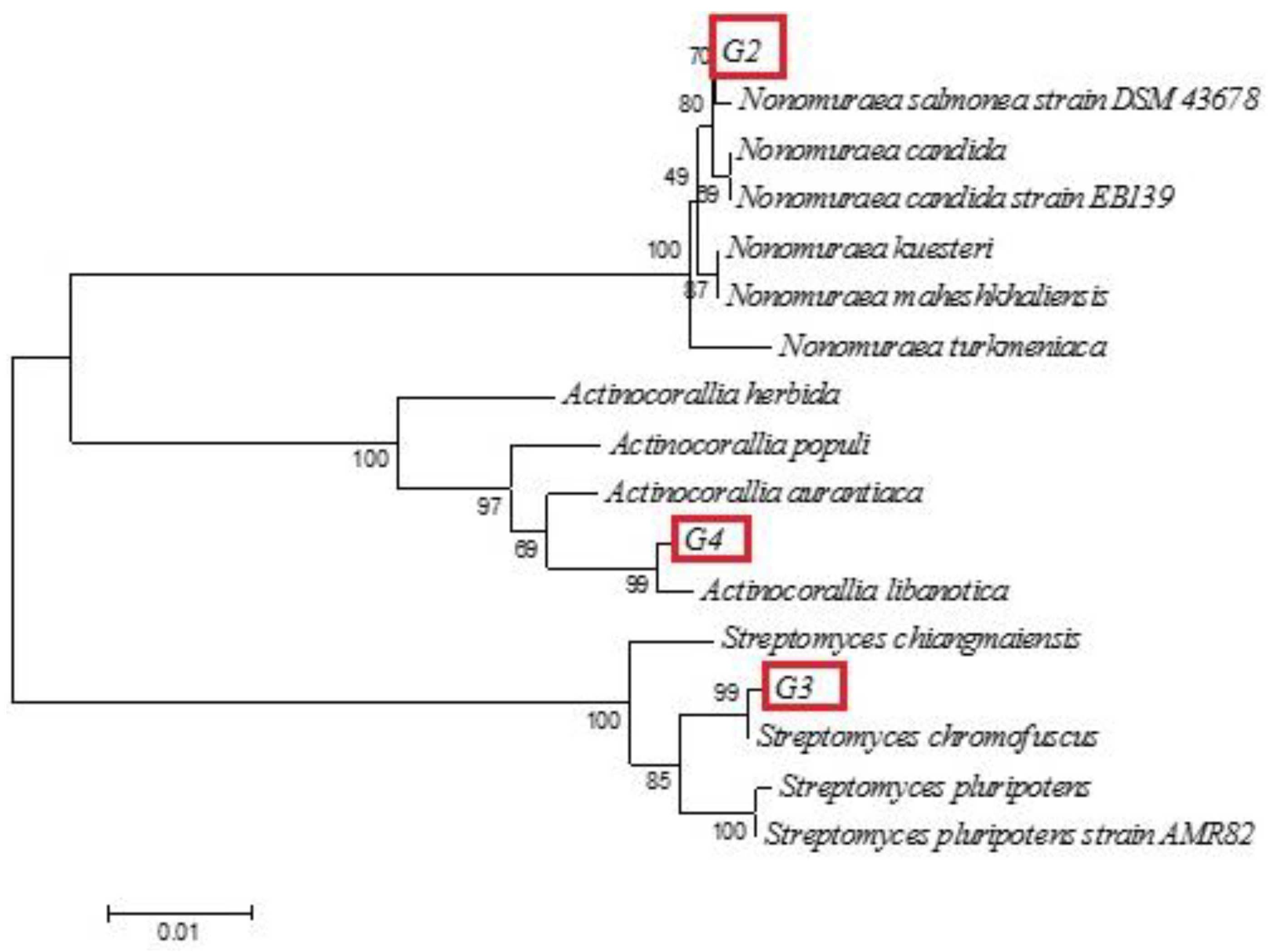 Sustainability 14 13574 g002