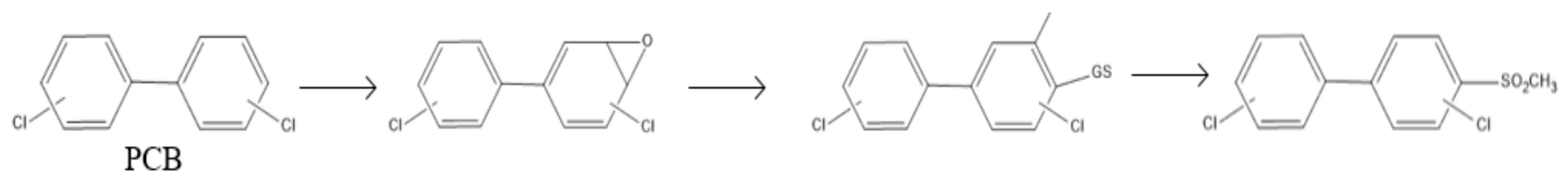 Sustainability 14 13582 g003