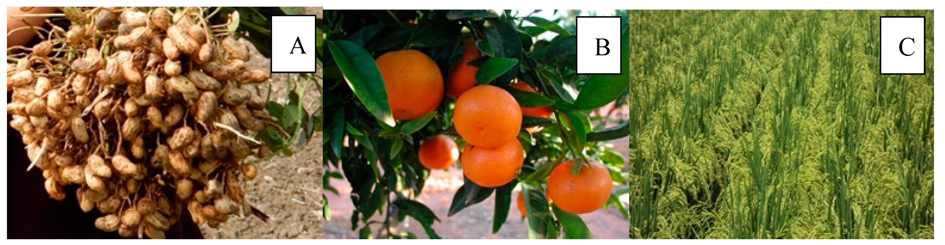 Sustainability 14 13646 g002 Sustainability 14 13646 g002