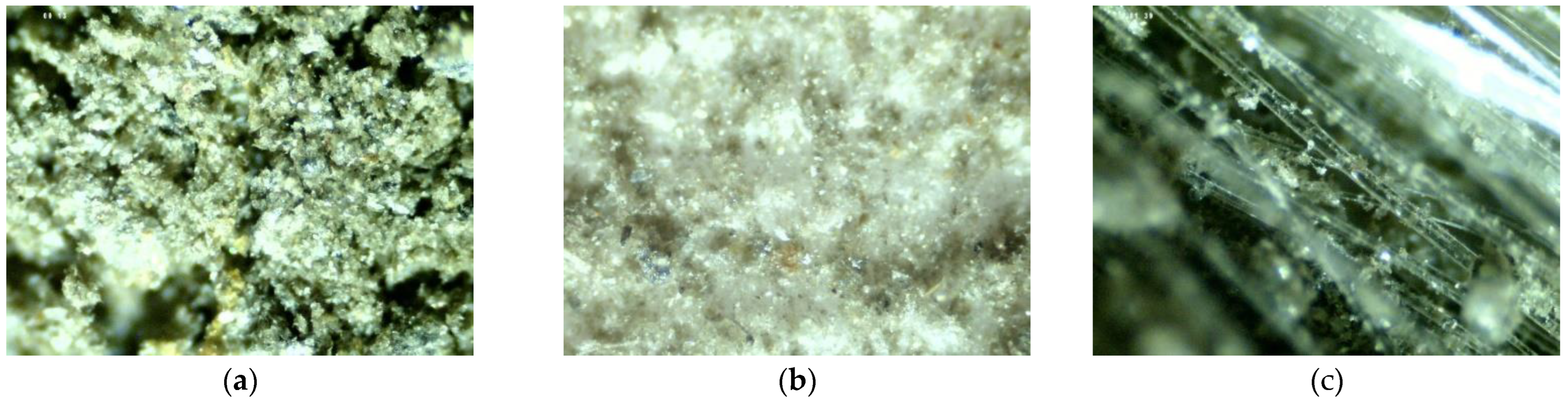 Sustainability 14 13648 g013