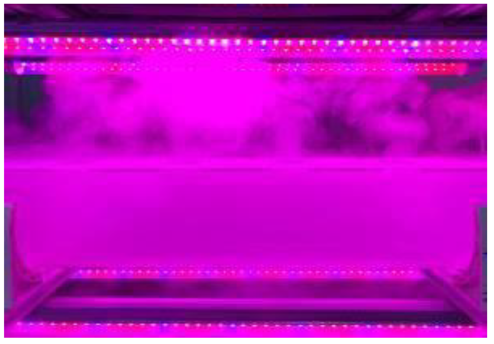 Sustainability 14 13705 g004