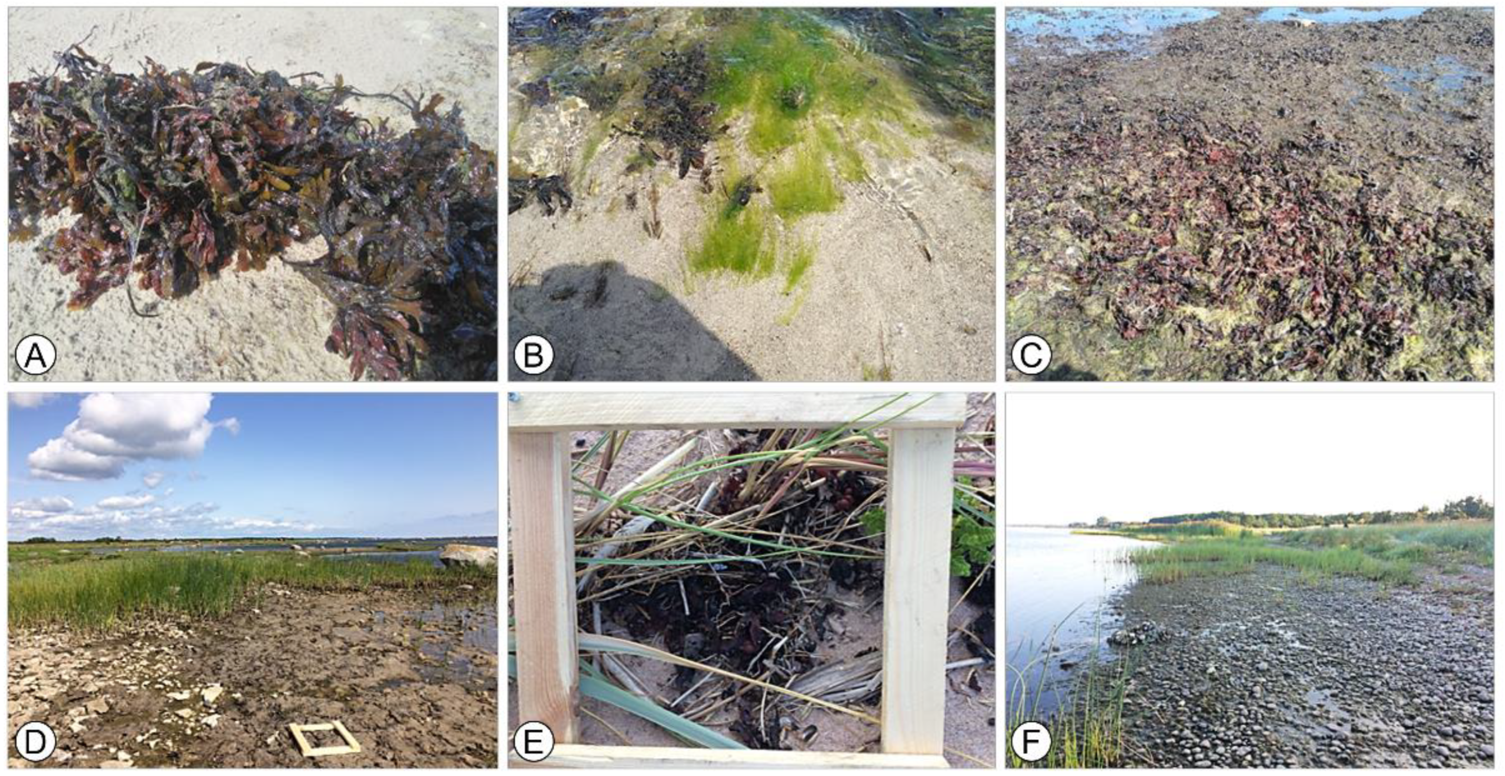 Sustainability 14 13712 g005 Sustainability 14 13712 g005