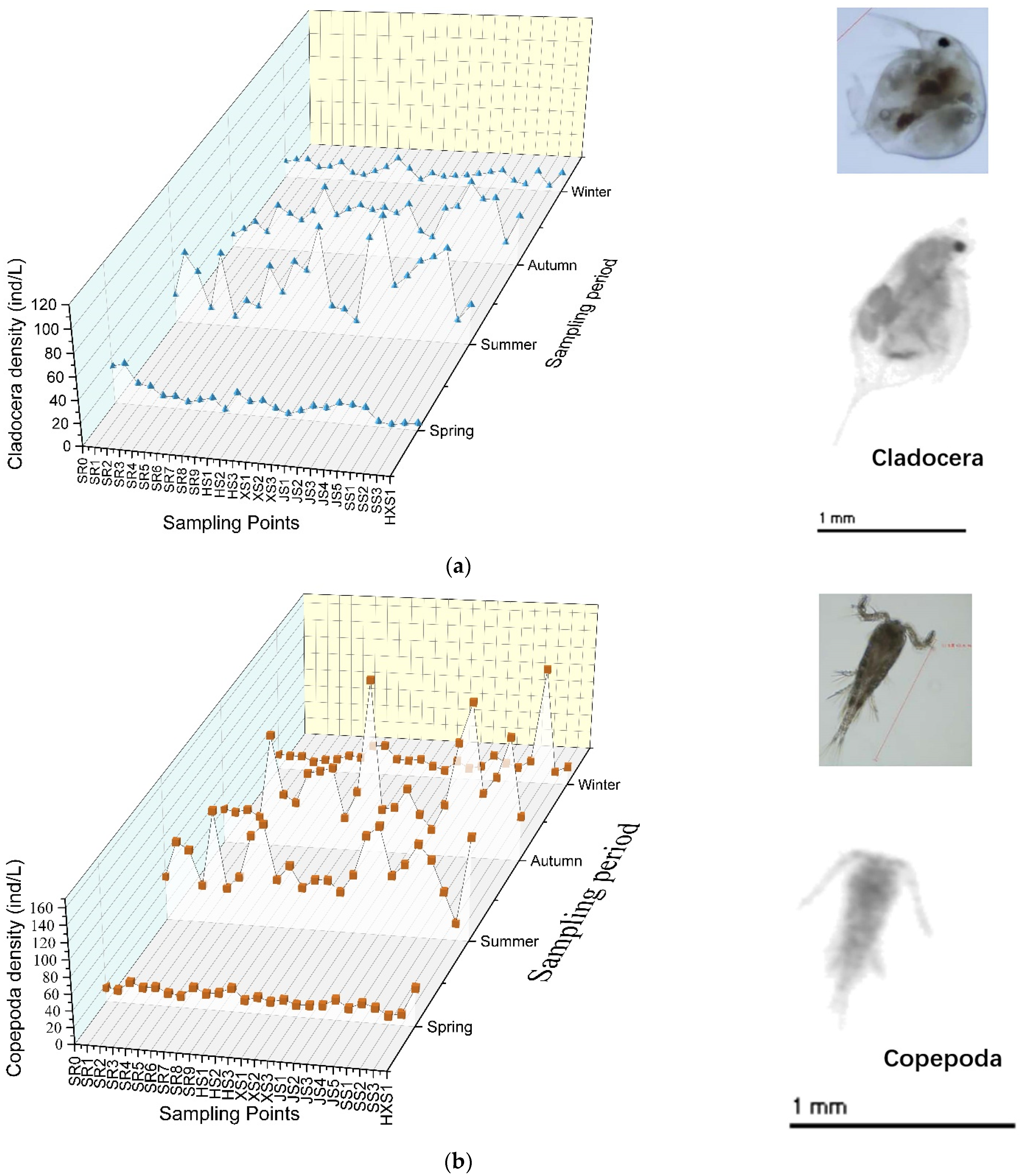 Sustainability 14 13719 g004a