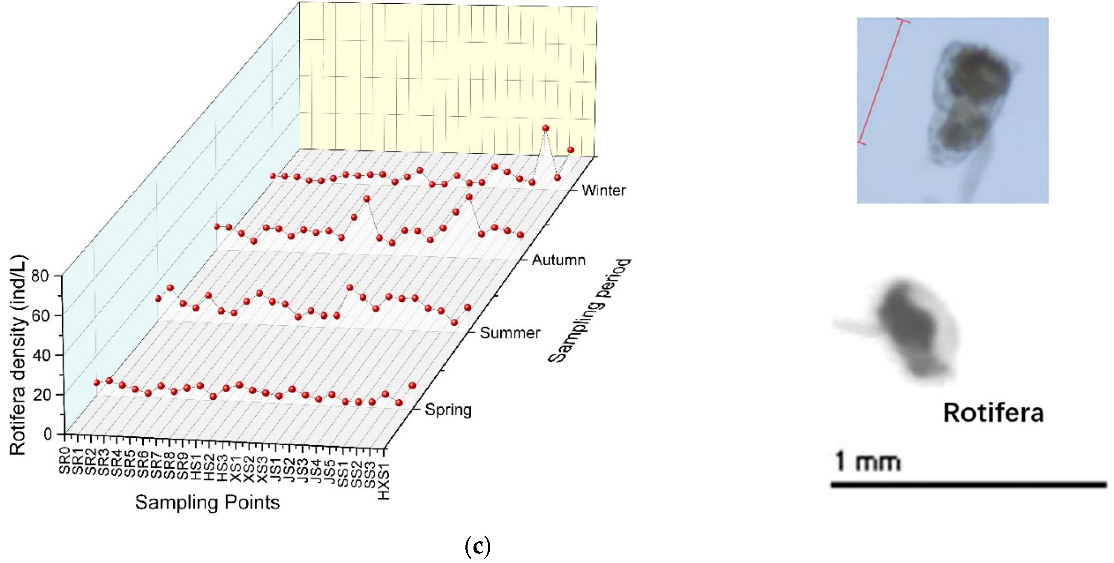 Sustainability 14 13719 g004b