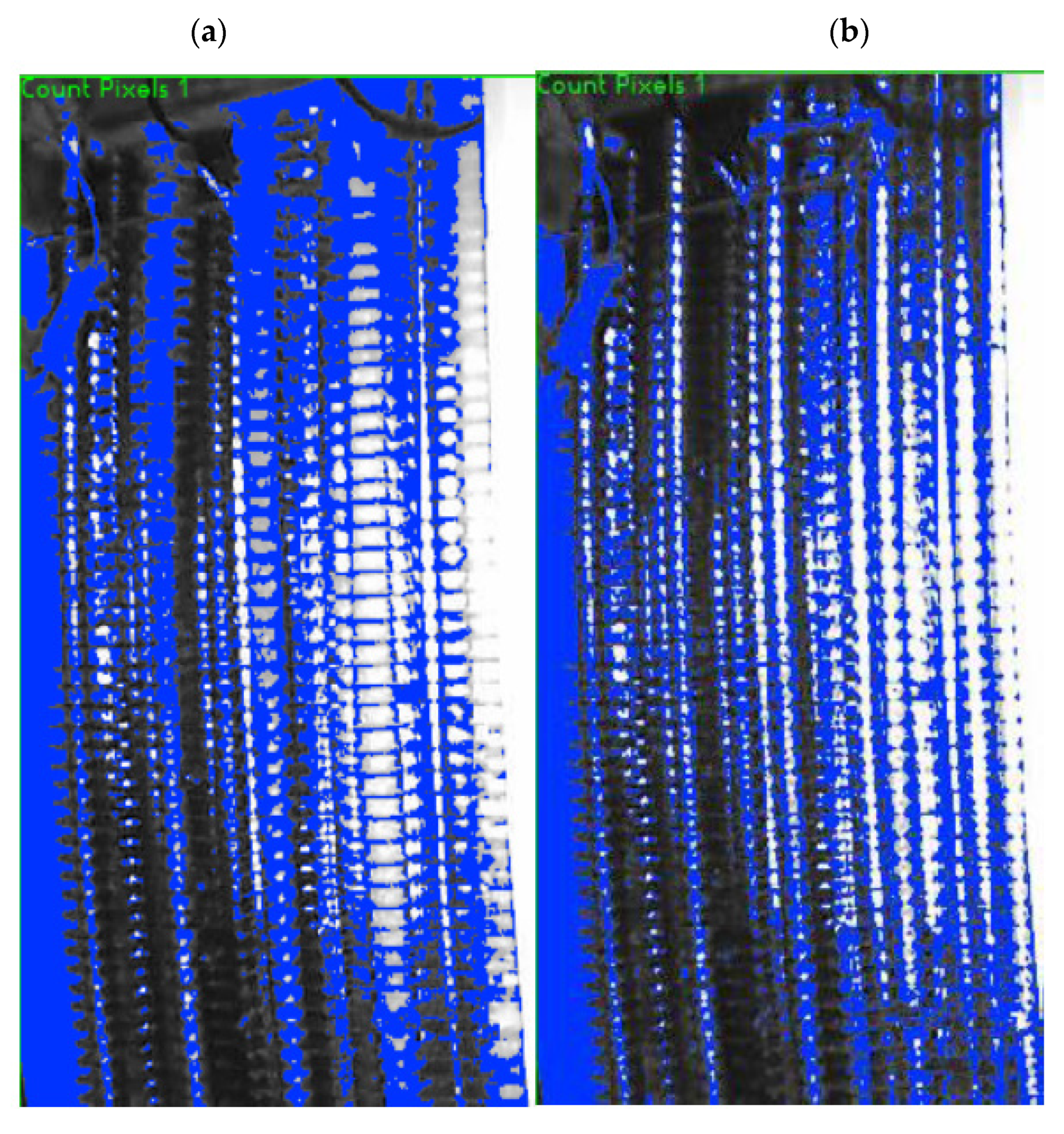 Sustainability 14 13731 g005 Sustainability 14 13731 g005