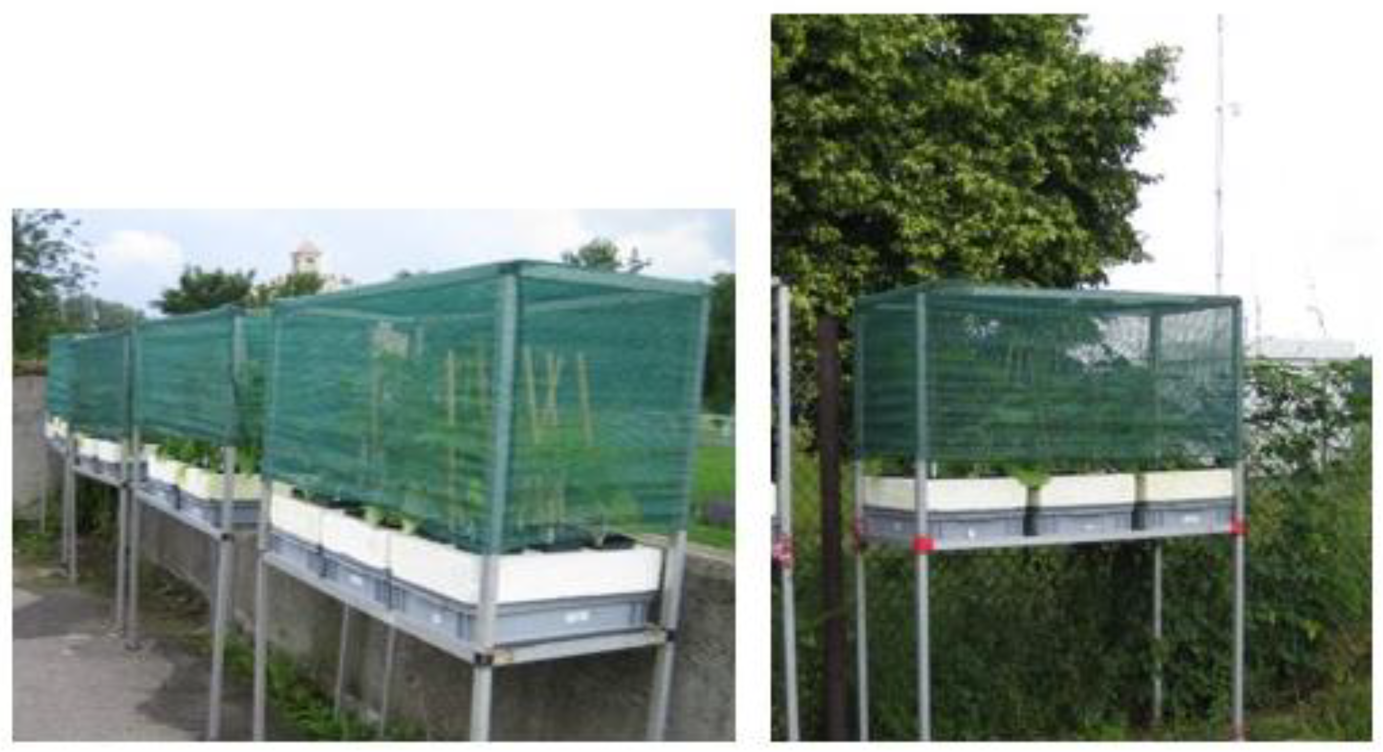 Sustainability 14 13760 g001