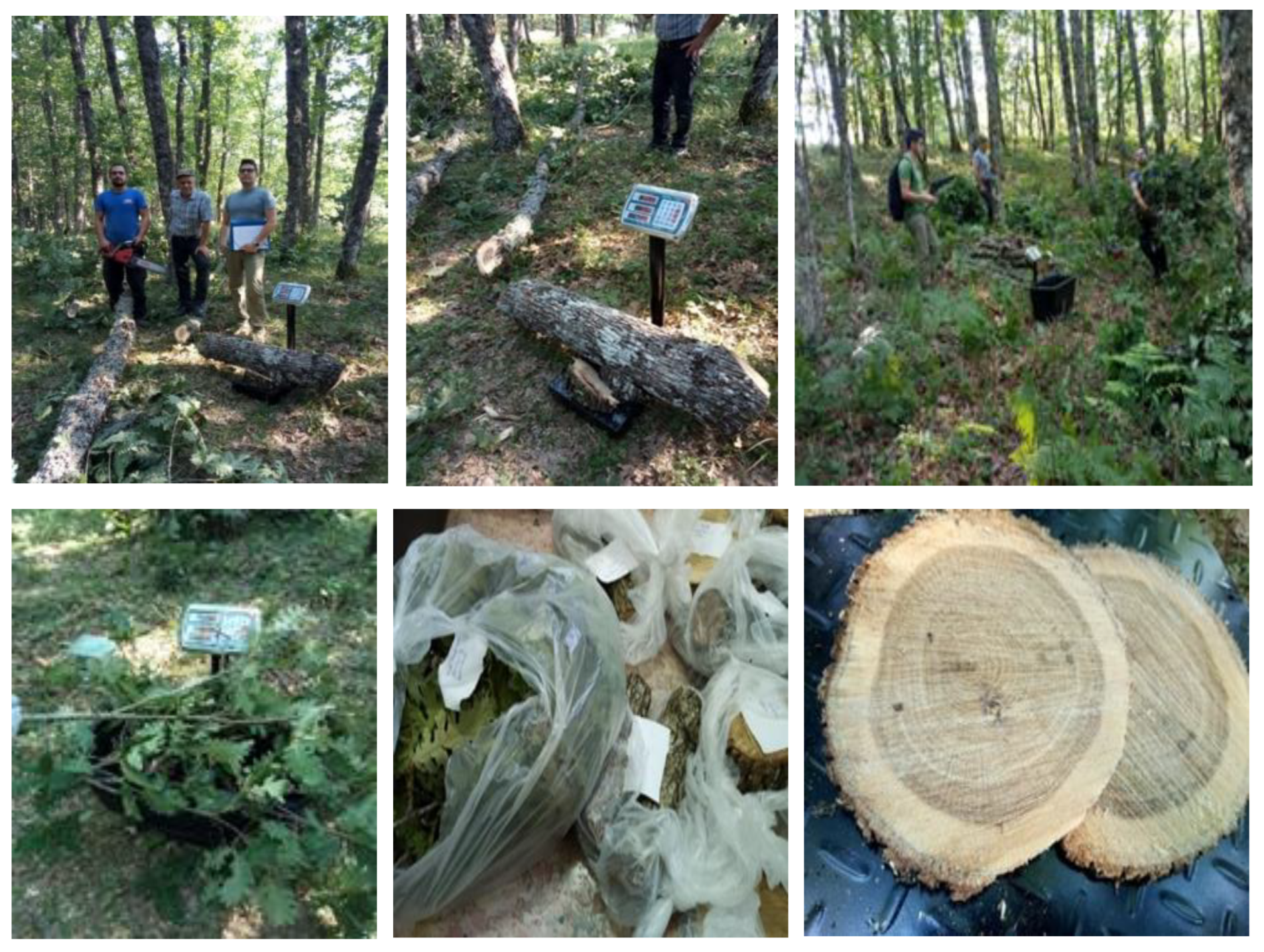 Sustainability 14 13764 g002