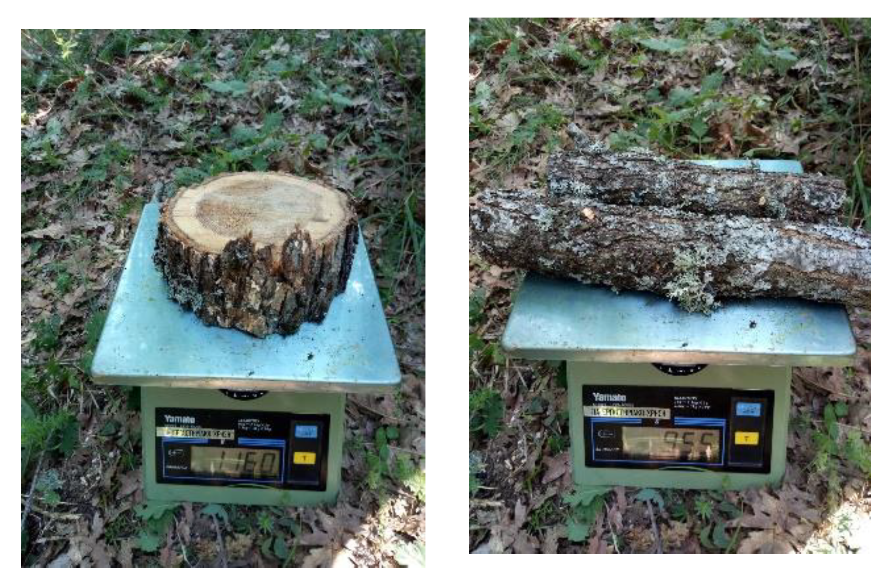 Sustainability 14 13764 g003