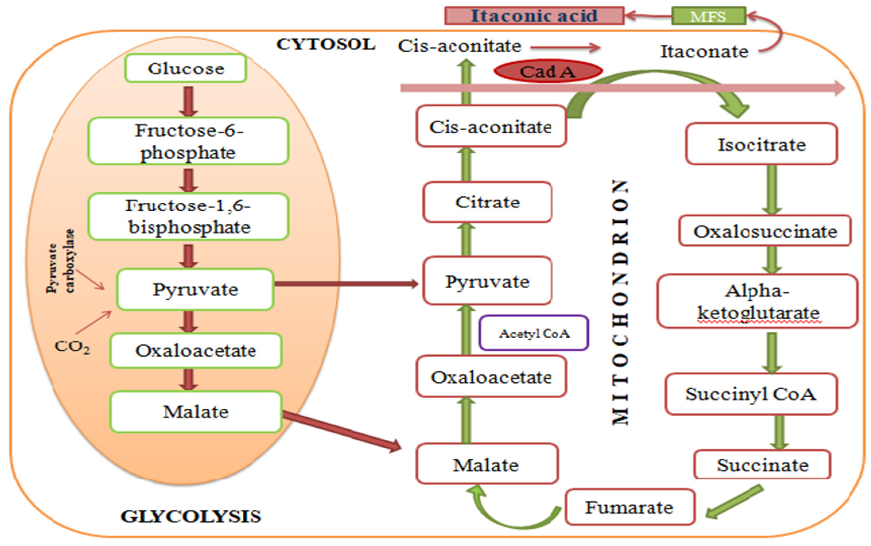 Sustainability 14 13777 g002 Sustainability 14 13777 g002