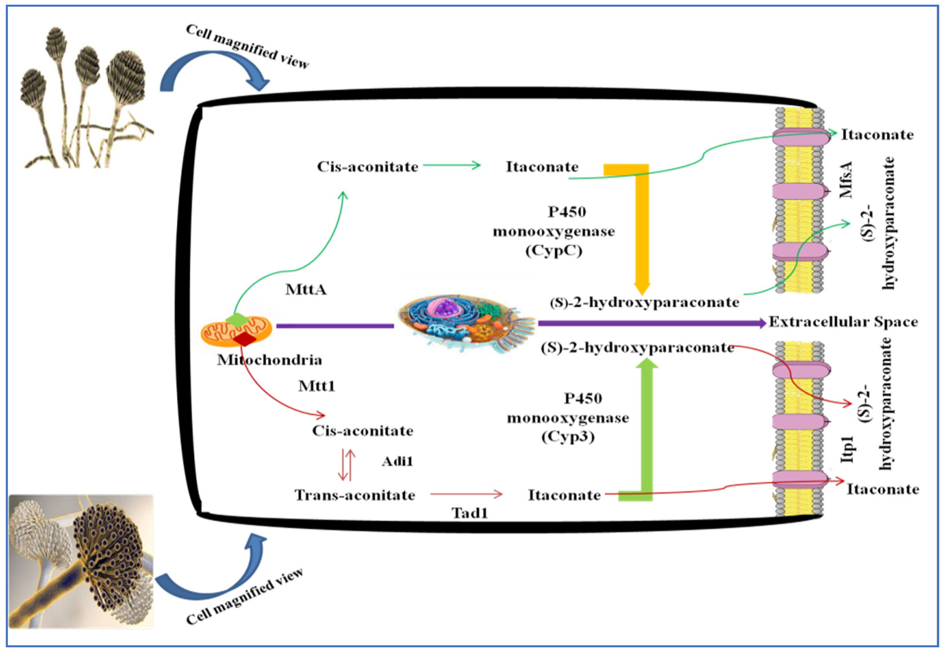 Sustainability 14 13777 g003 Sustainability 14 13777 g003