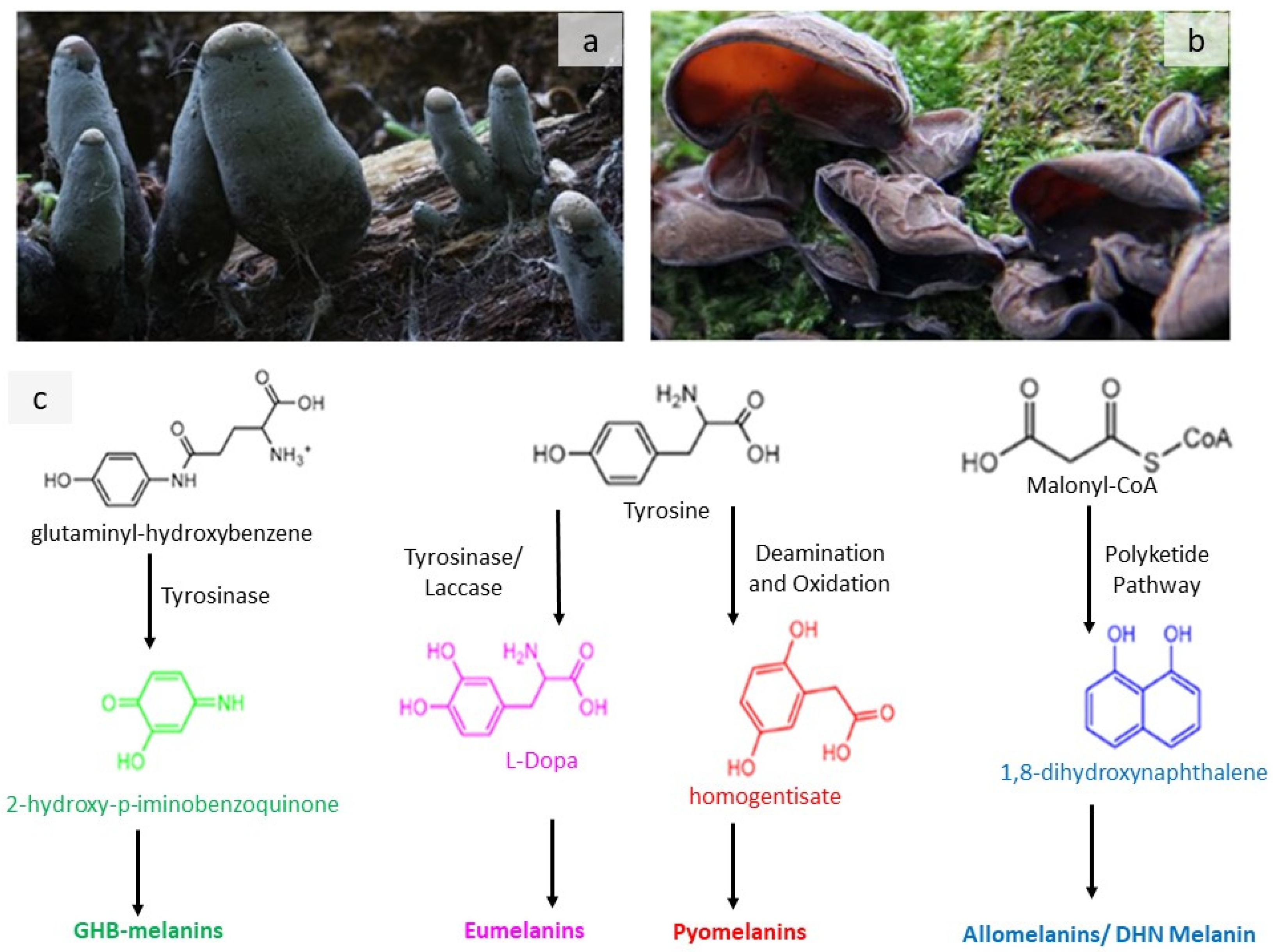 Sustainability 14 13894 g002 Sustainability 14 13894 g002