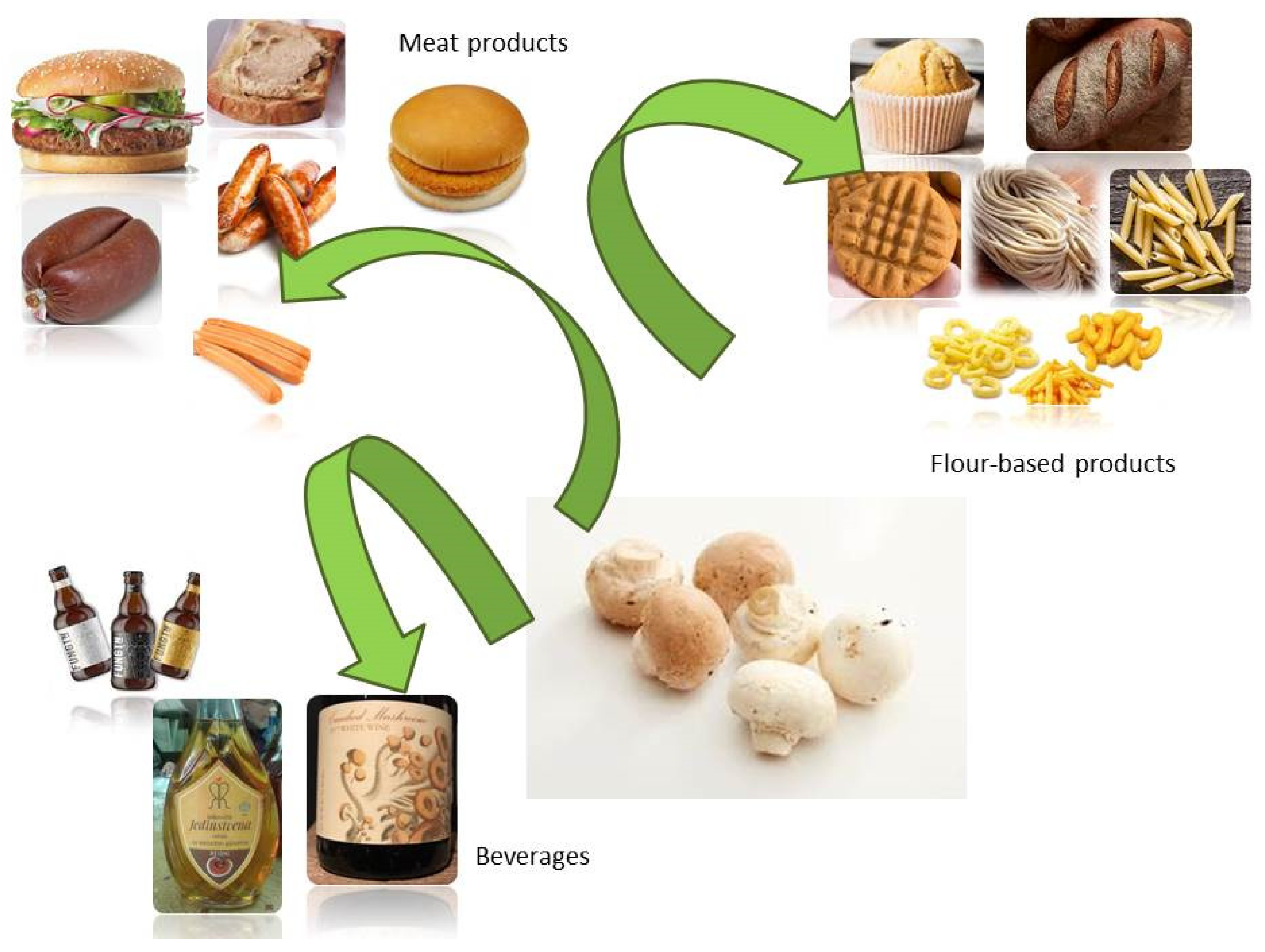 Sustainability 14 13894 g003 Sustainability 14 13894 g003