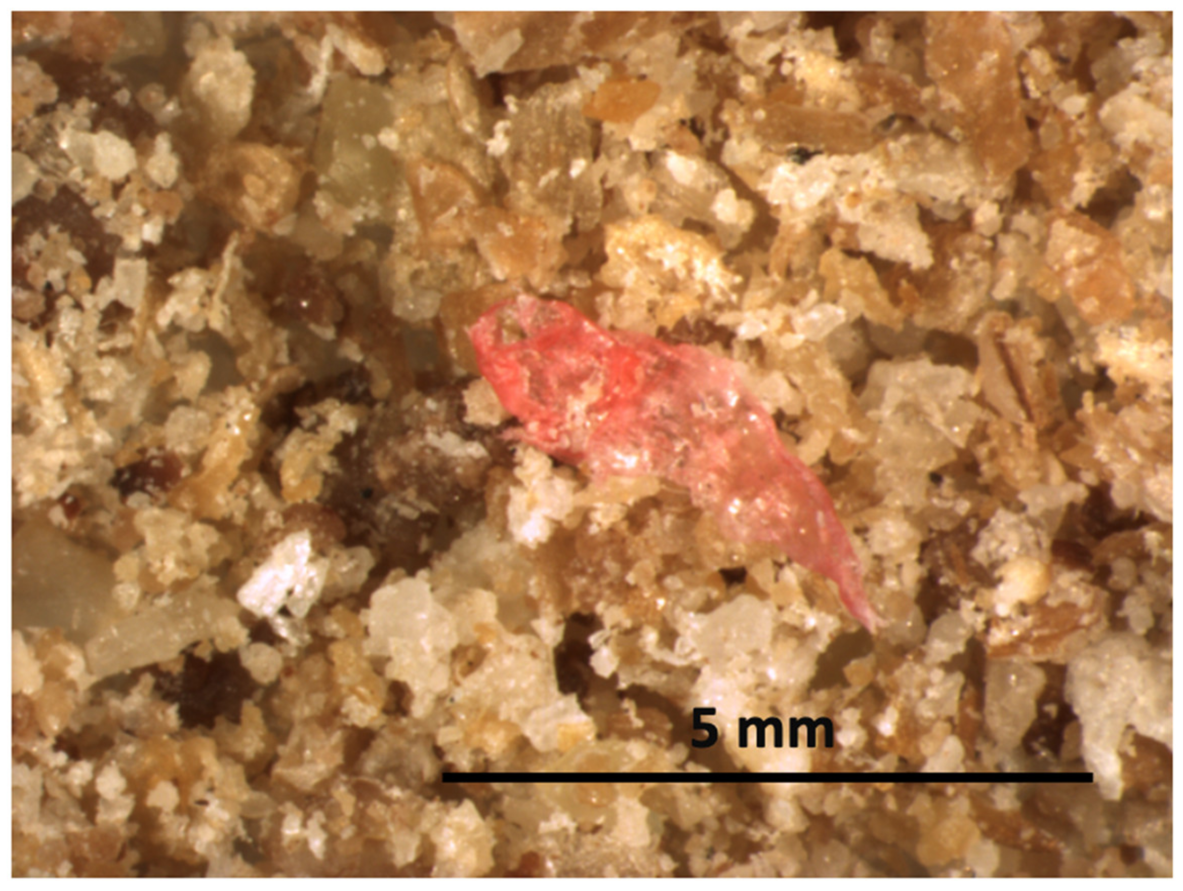 Sustainability 14 13911 g002 Sustainability 14 13911 g002