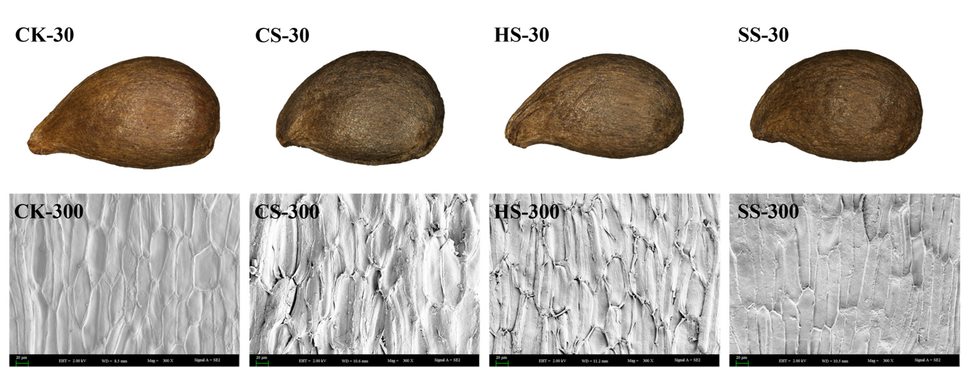 Sustainability 14 13930 g004