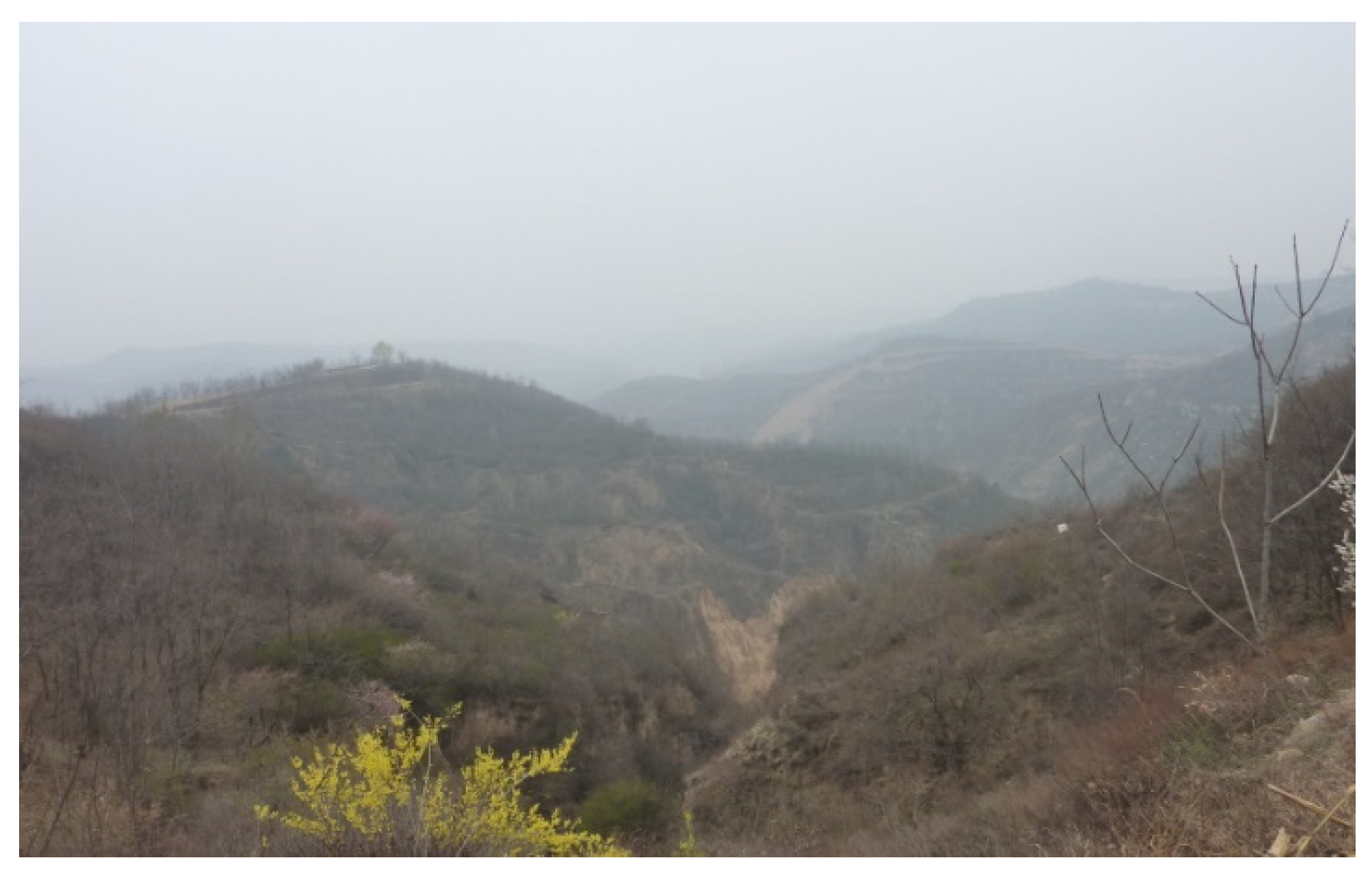 Sustainability 14 13941 g001 Sustainability 14 13941 g001