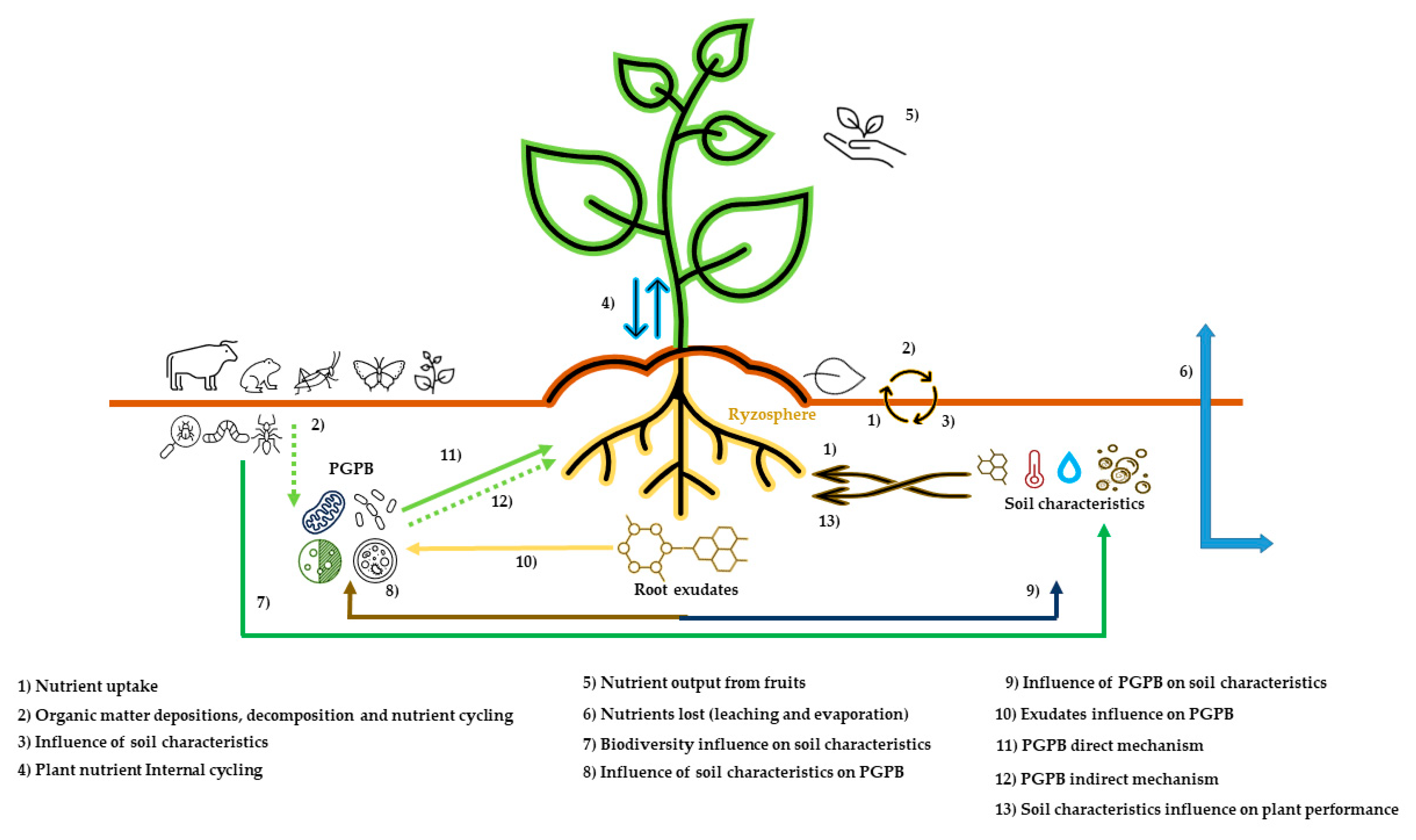 Sustainability 14 13952 g002 Sustainability 14 13952 g002