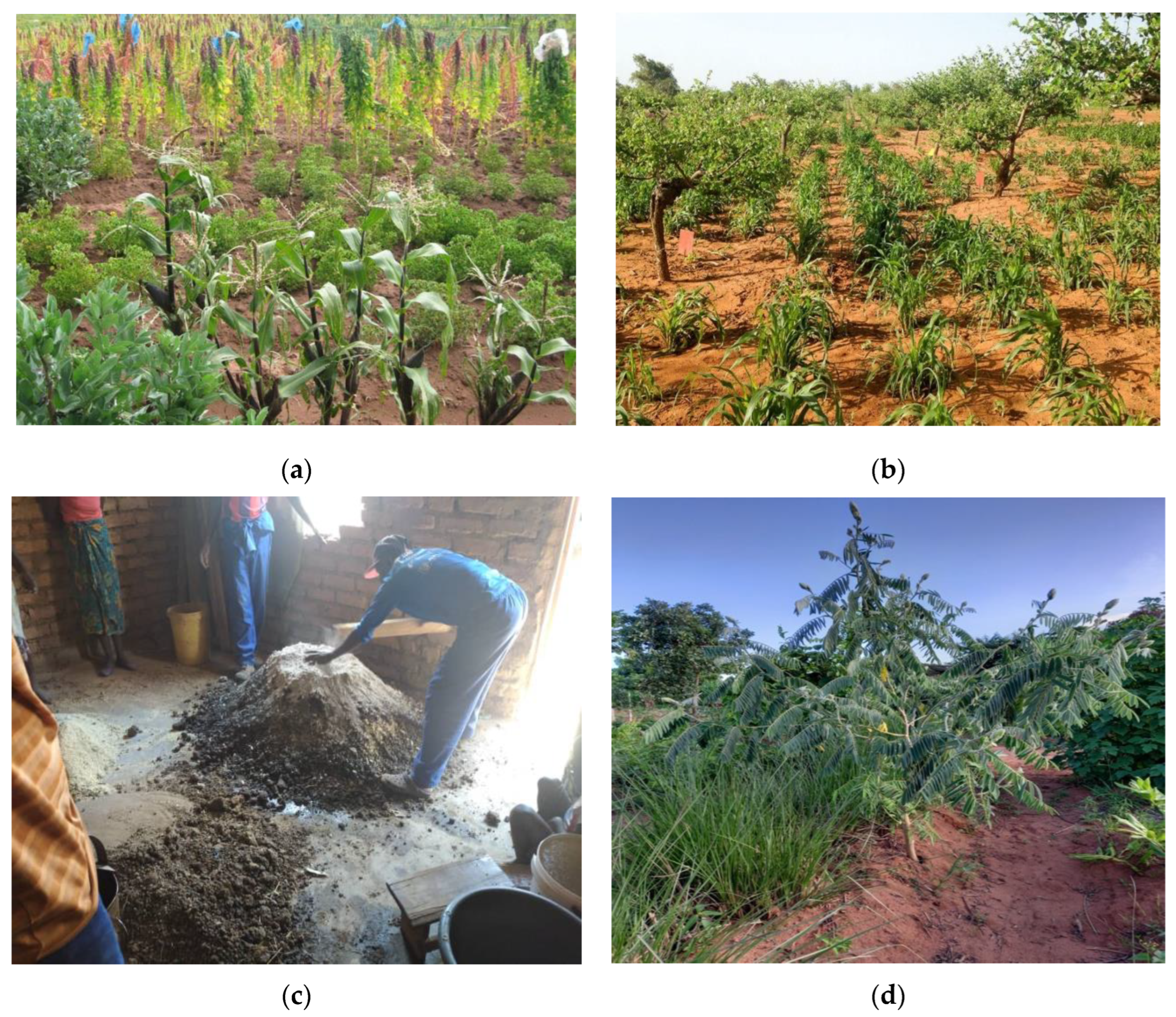 Sustainability 14 13954 g001