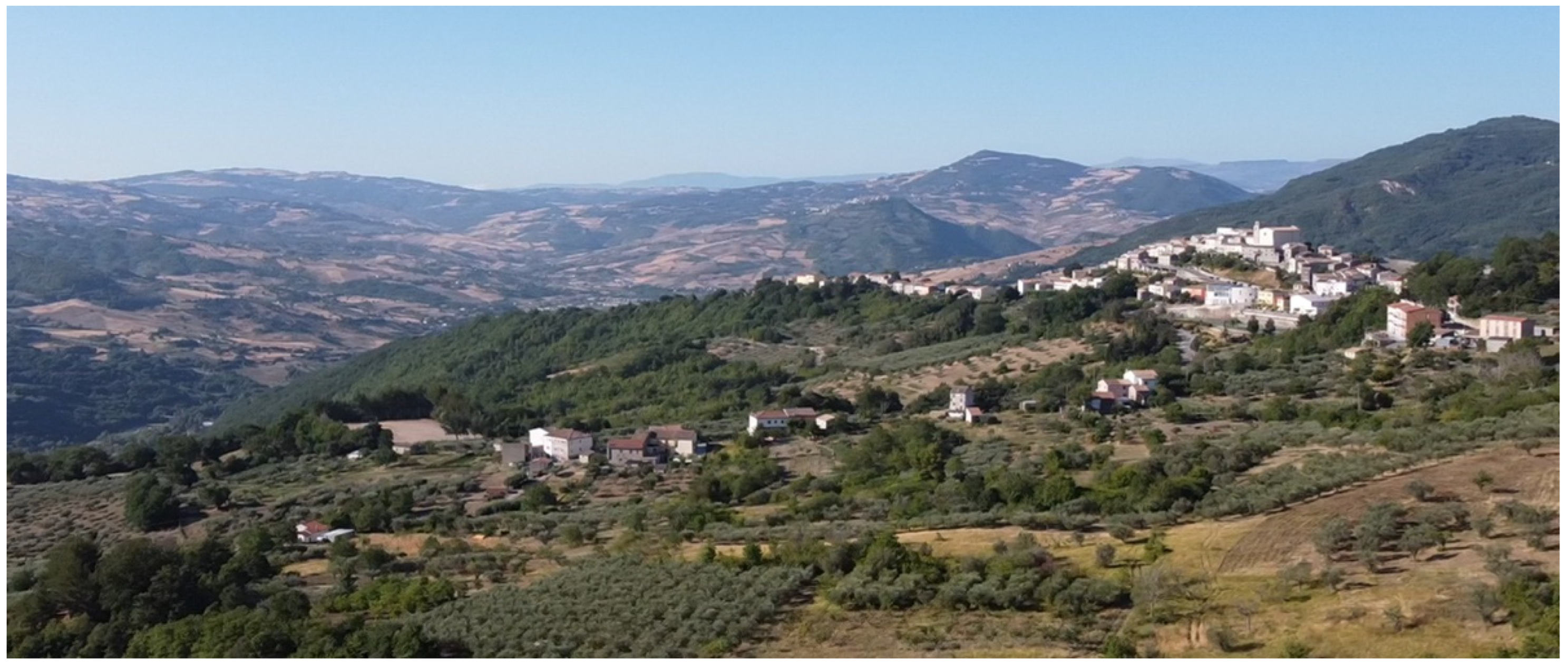 Sustainability 14 13982 g001