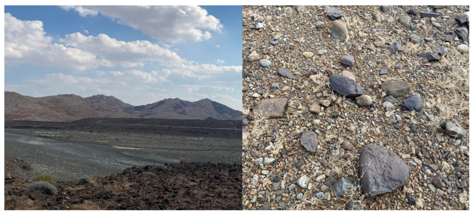 Sustainability 14 14028 g002 Sustainability 14 14028 g002