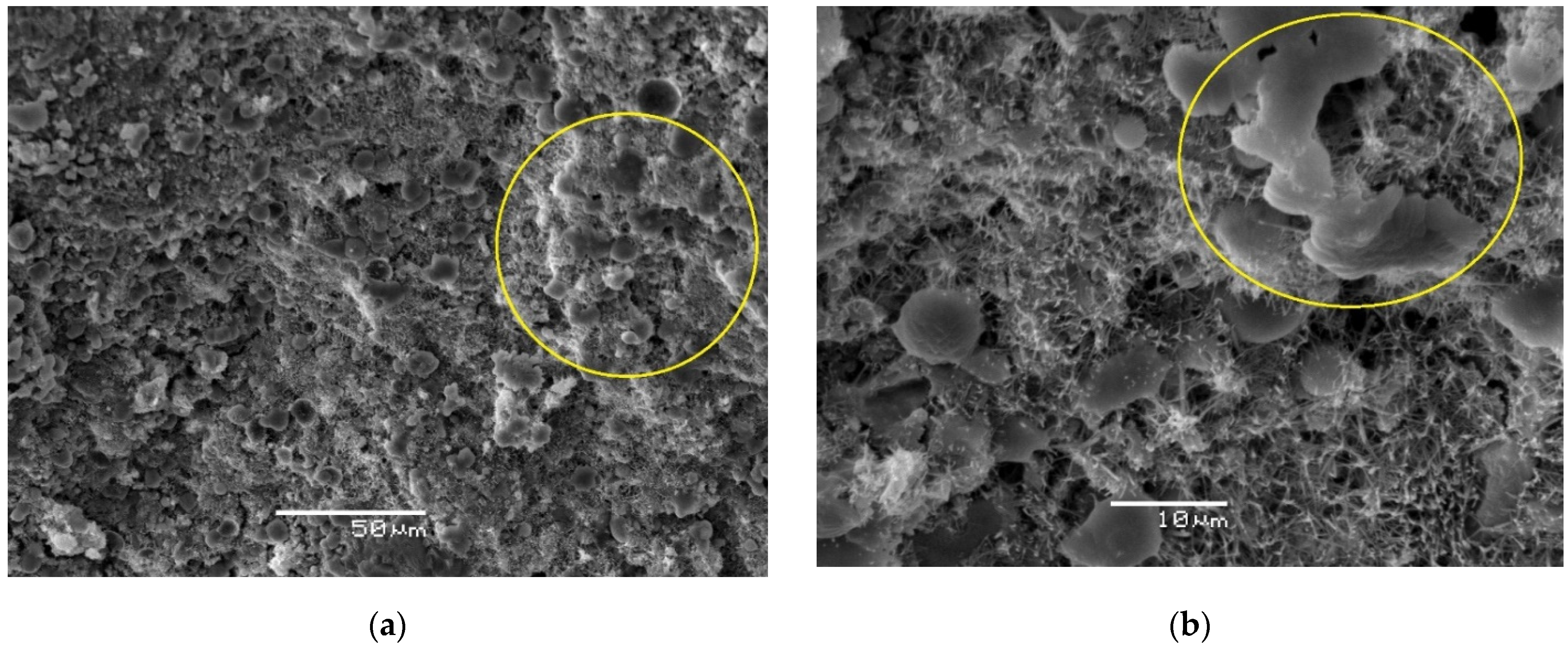 Sustainability 14 14122 g006 Sustainability 14 14122 g006