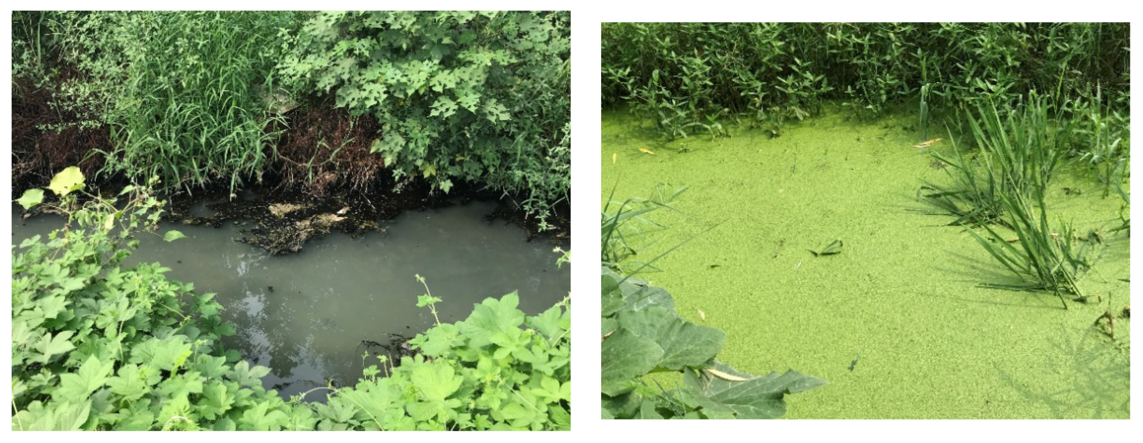 Sustainability 14 14136 g007