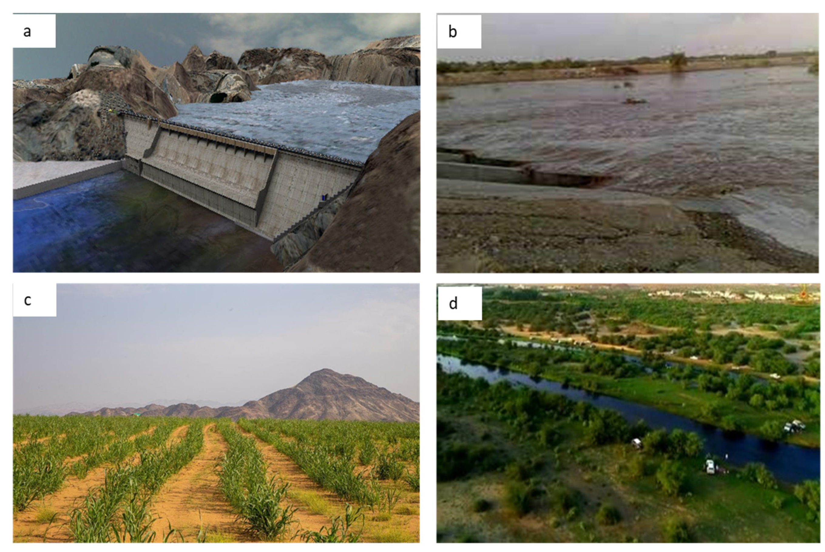 Sustainability 14 14145 g015