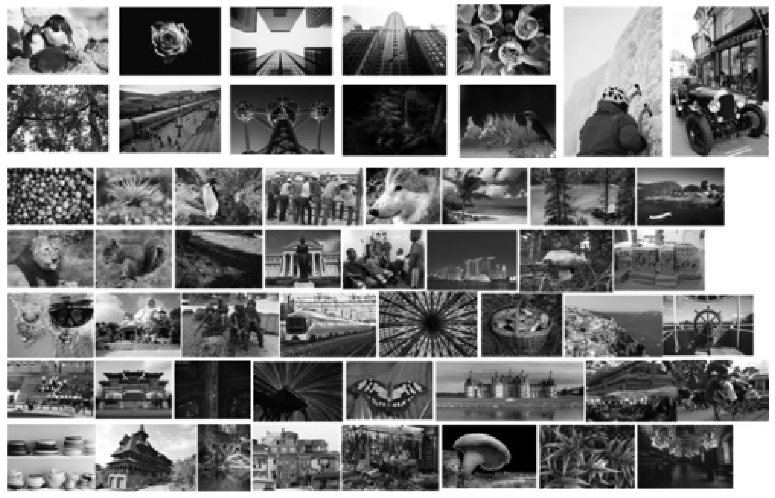 Sustainability 14 14151 g008