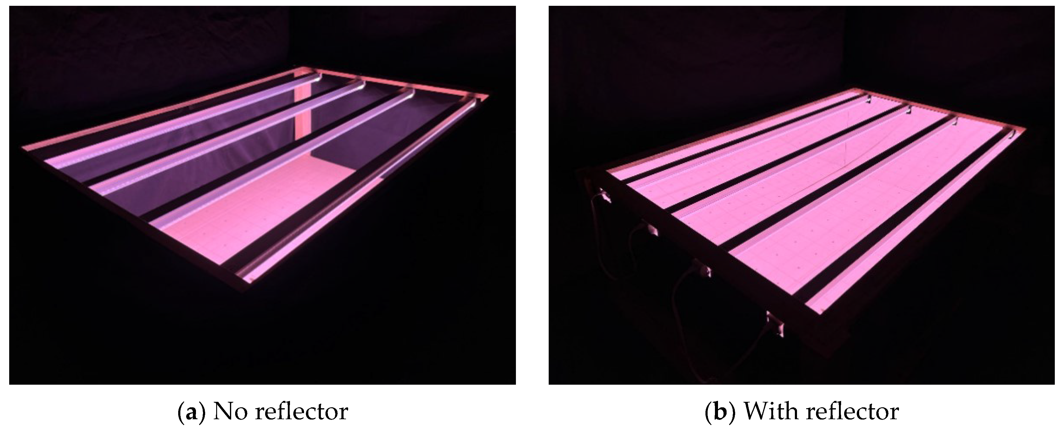 Sustainability 14 14186 g002
