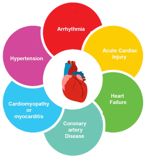 Prognosis In Heart Failure Is Easy To Predict Sustainability | Free Full-Text | Modified Self-Adaptive Bayesian