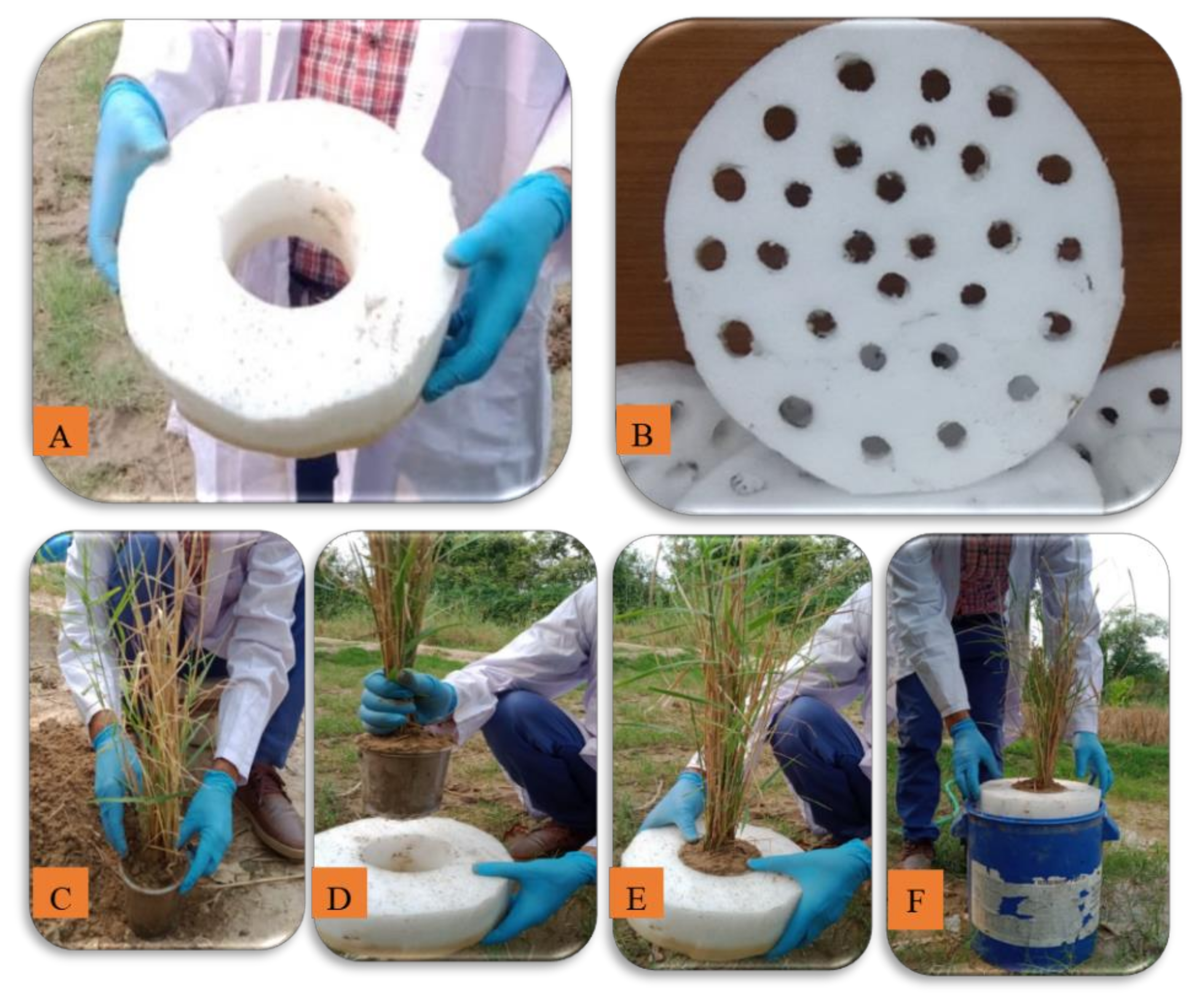 Sustainability 14 14216 g001 Sustainability 14 14216 g001