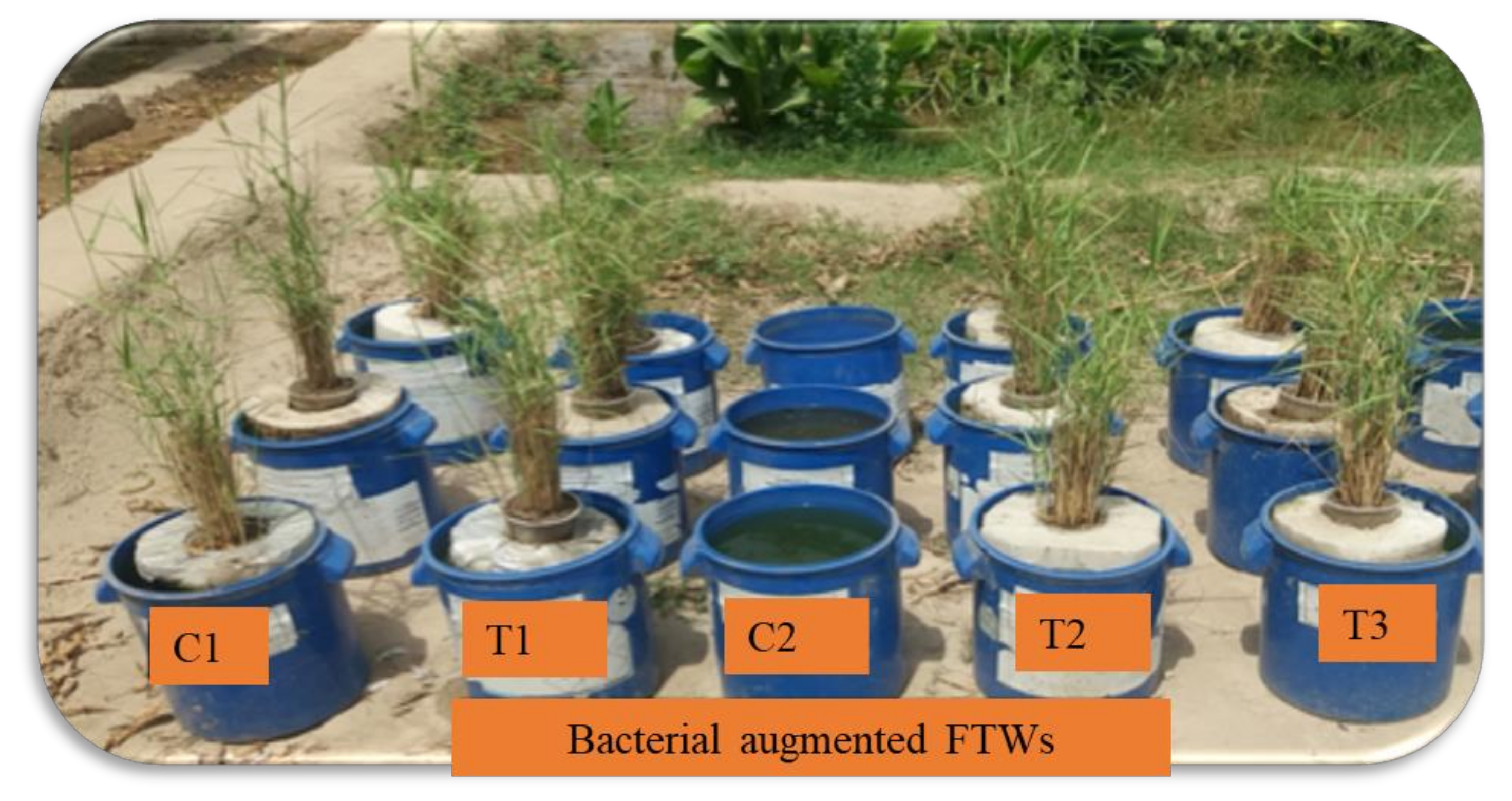 Sustainability 14 14216 g002 Sustainability 14 14216 g002