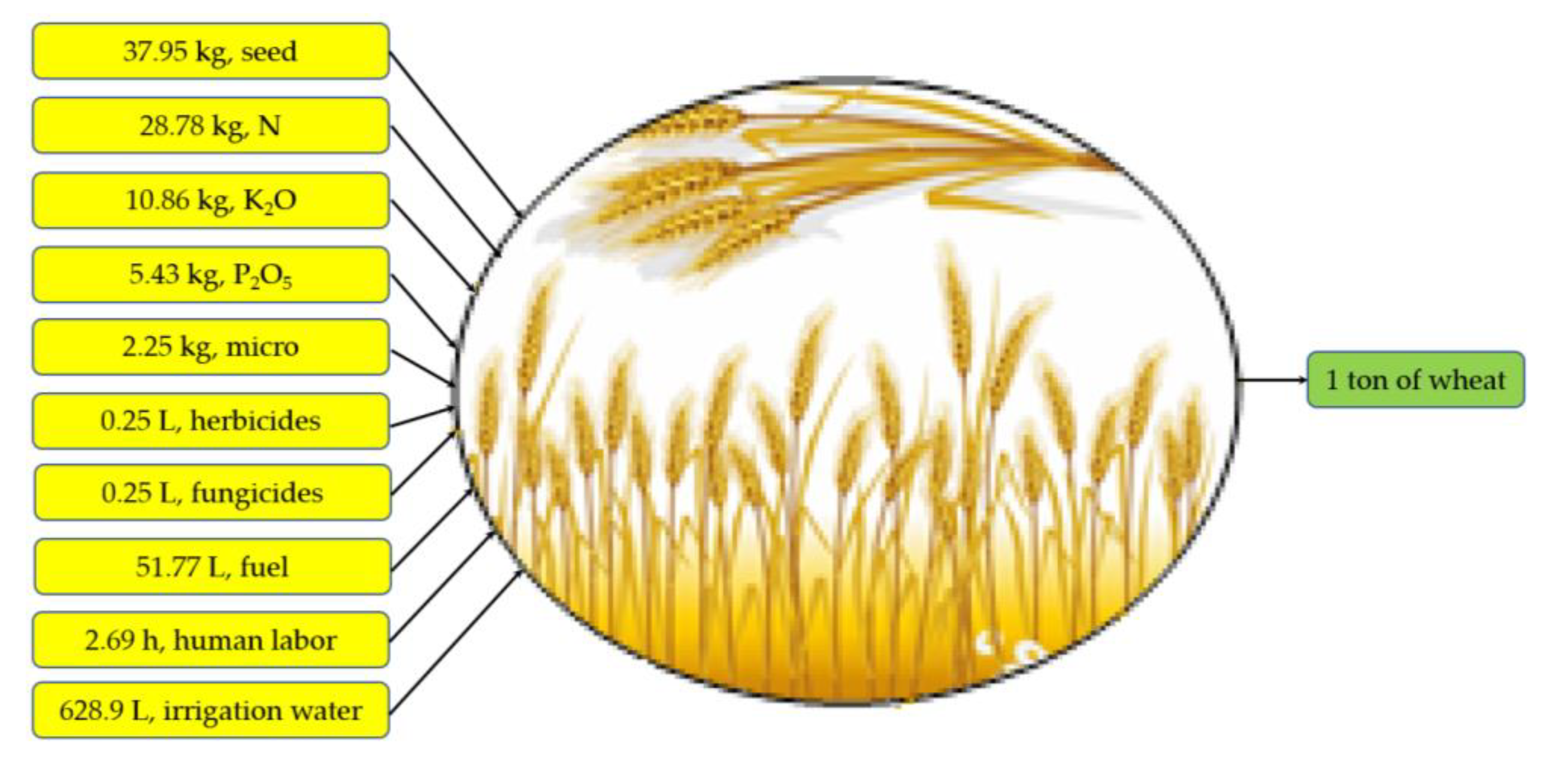 Sustainability 14 14229 g001