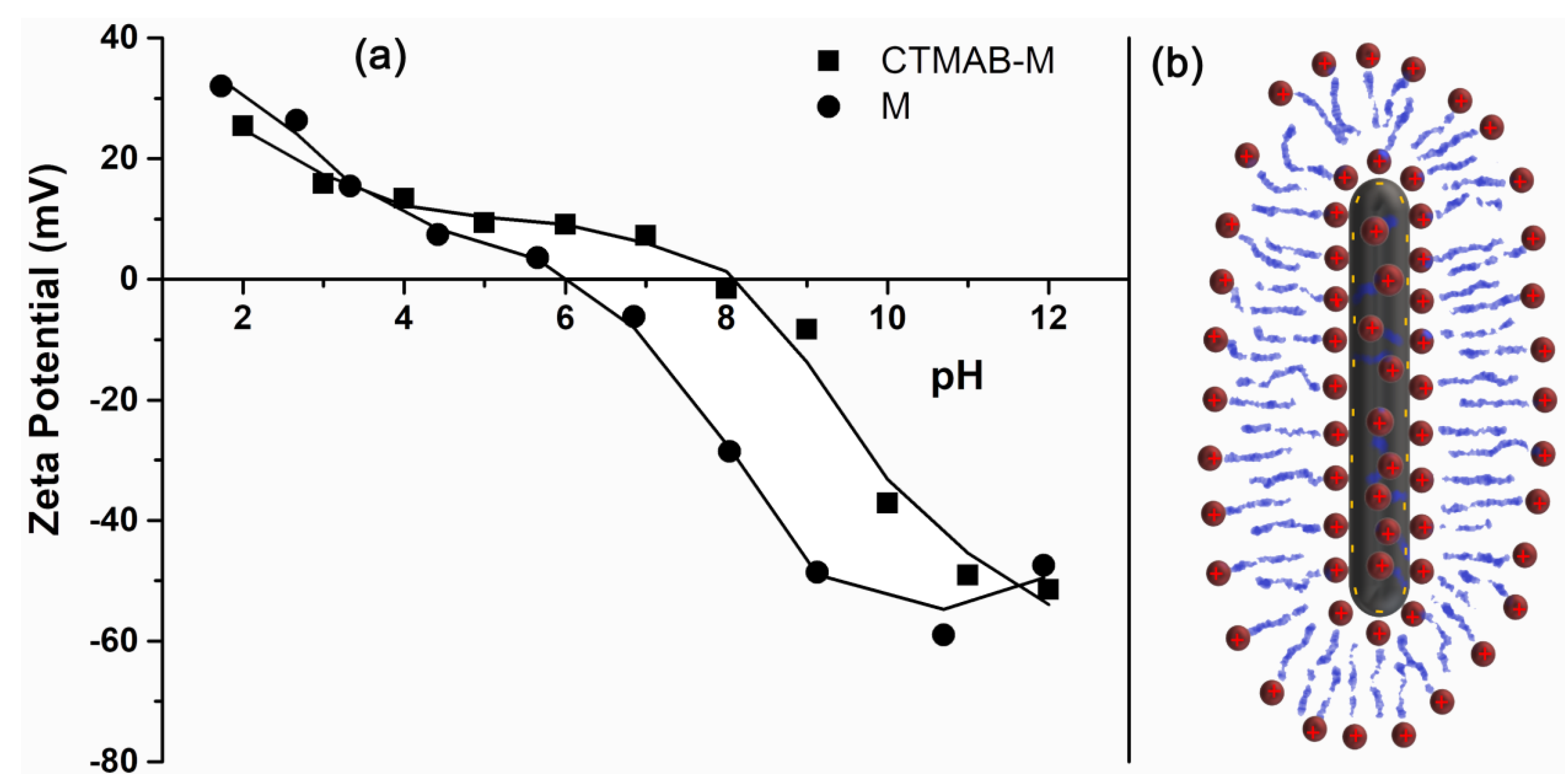 Sustainability 14 14248 g003 Sustainability 14 14248 g003
