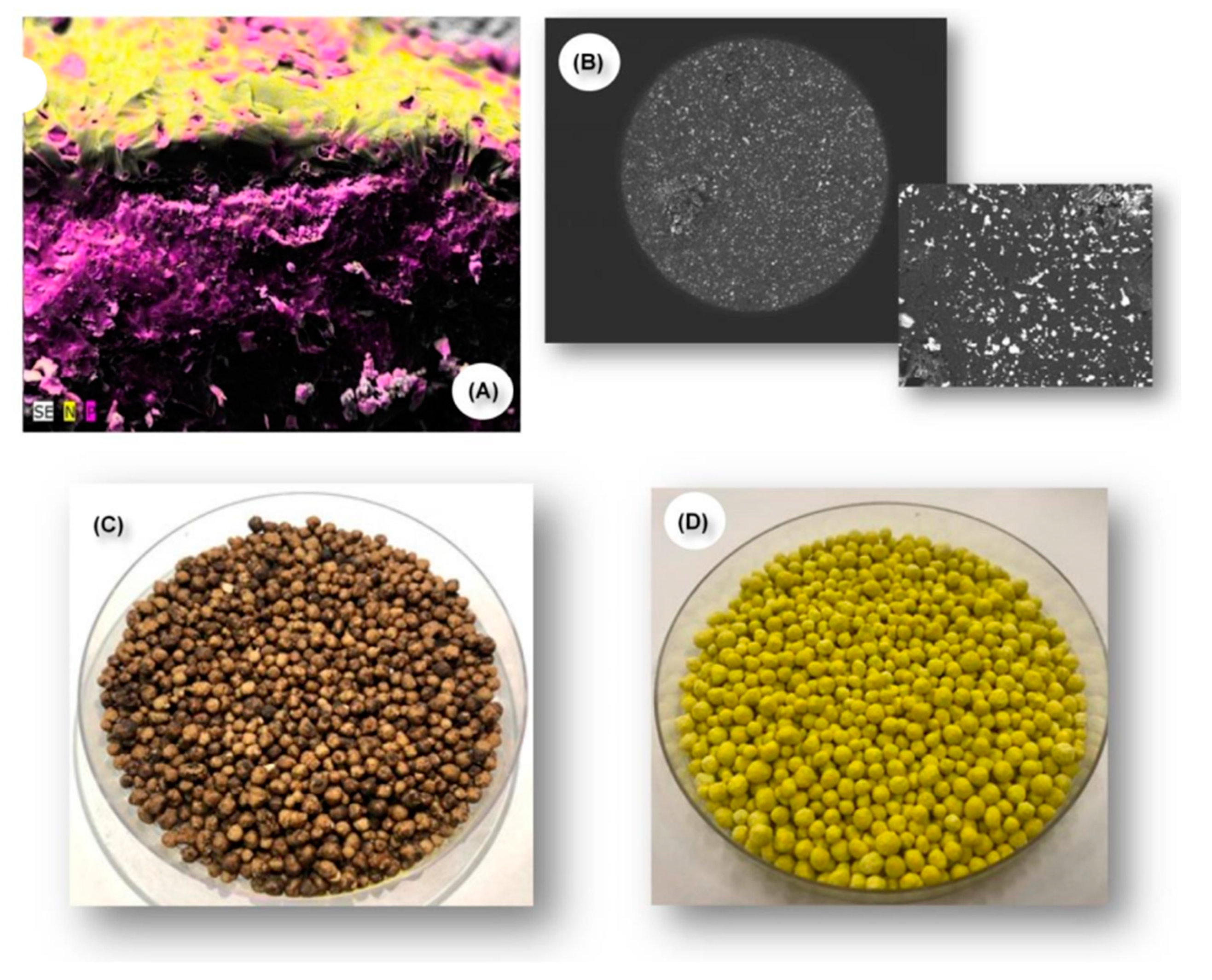 Sustainability 14 14266 g004 Sustainability 14 14266 g004