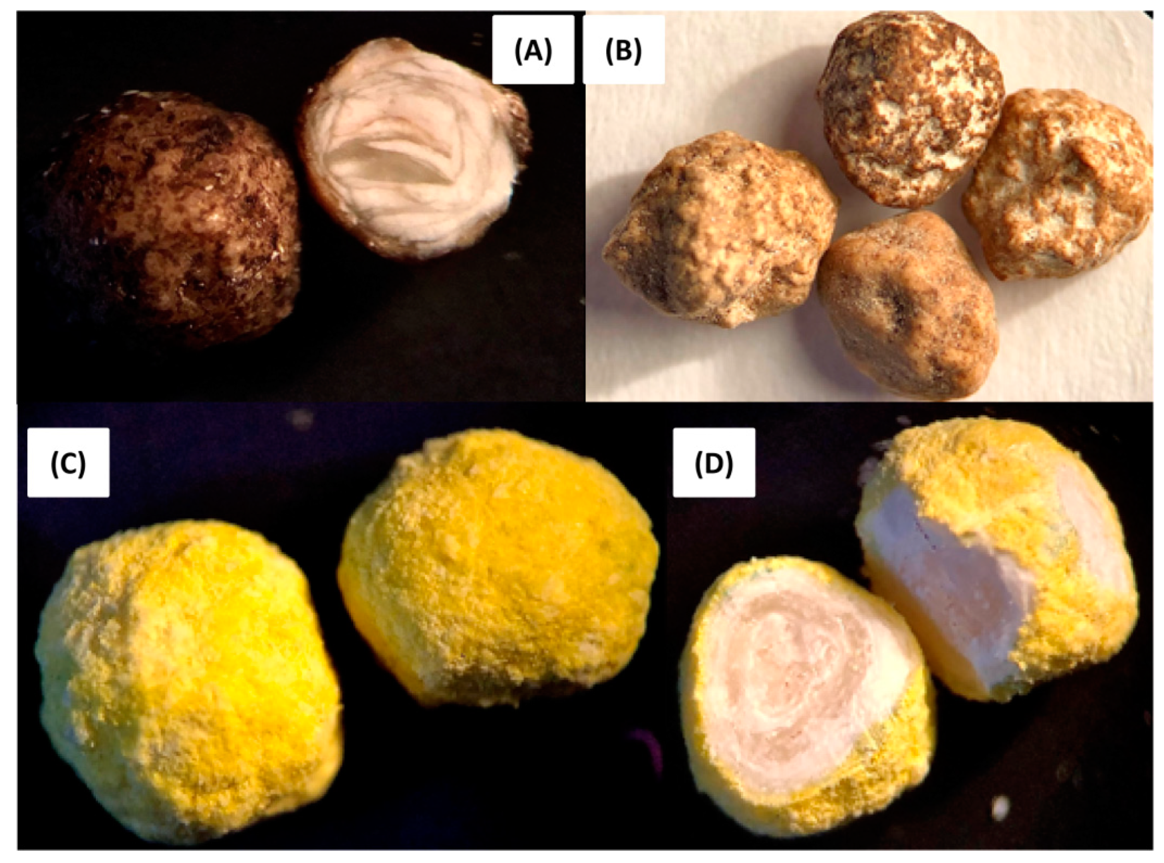 Sustainability 14 14266 g005 Sustainability 14 14266 g005