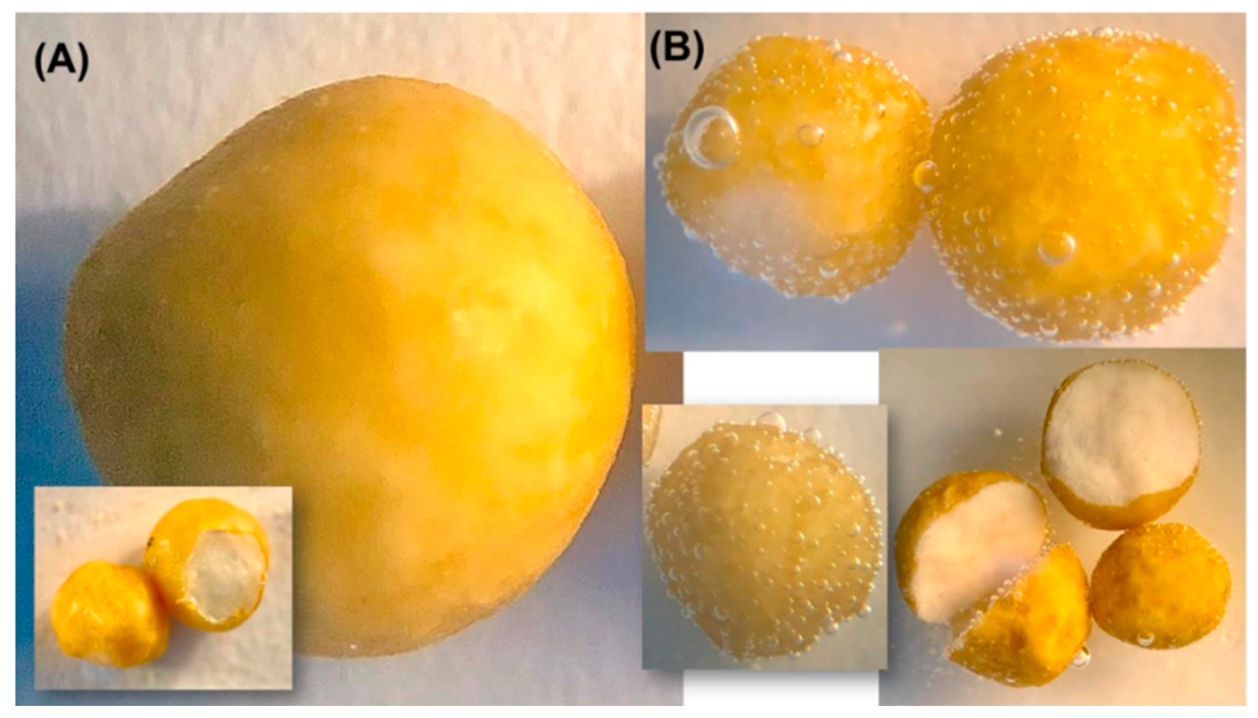 Sustainability 14 14266 g006 Sustainability 14 14266 g006