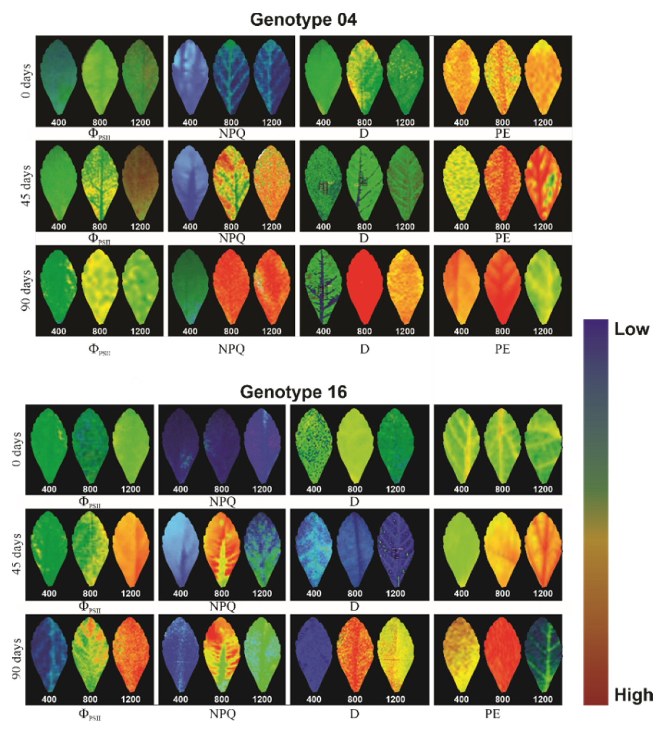 Sustainability 14 14269 g008 Sustainability 14 14269 g008