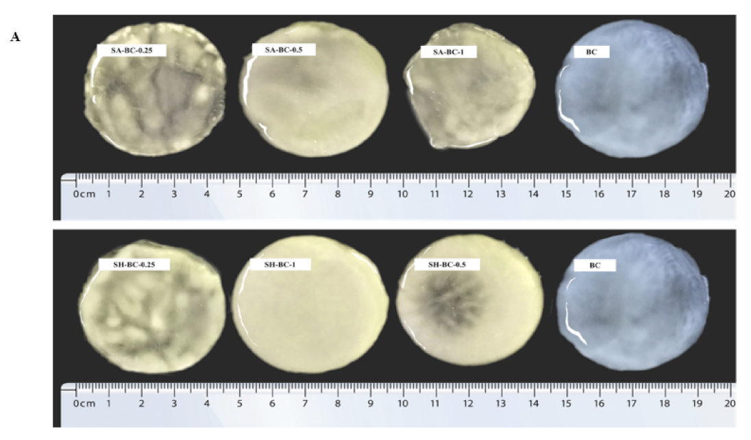 Sustainability 14 14277 g003a