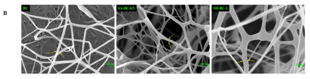 Sustainability 14 14277 g003b