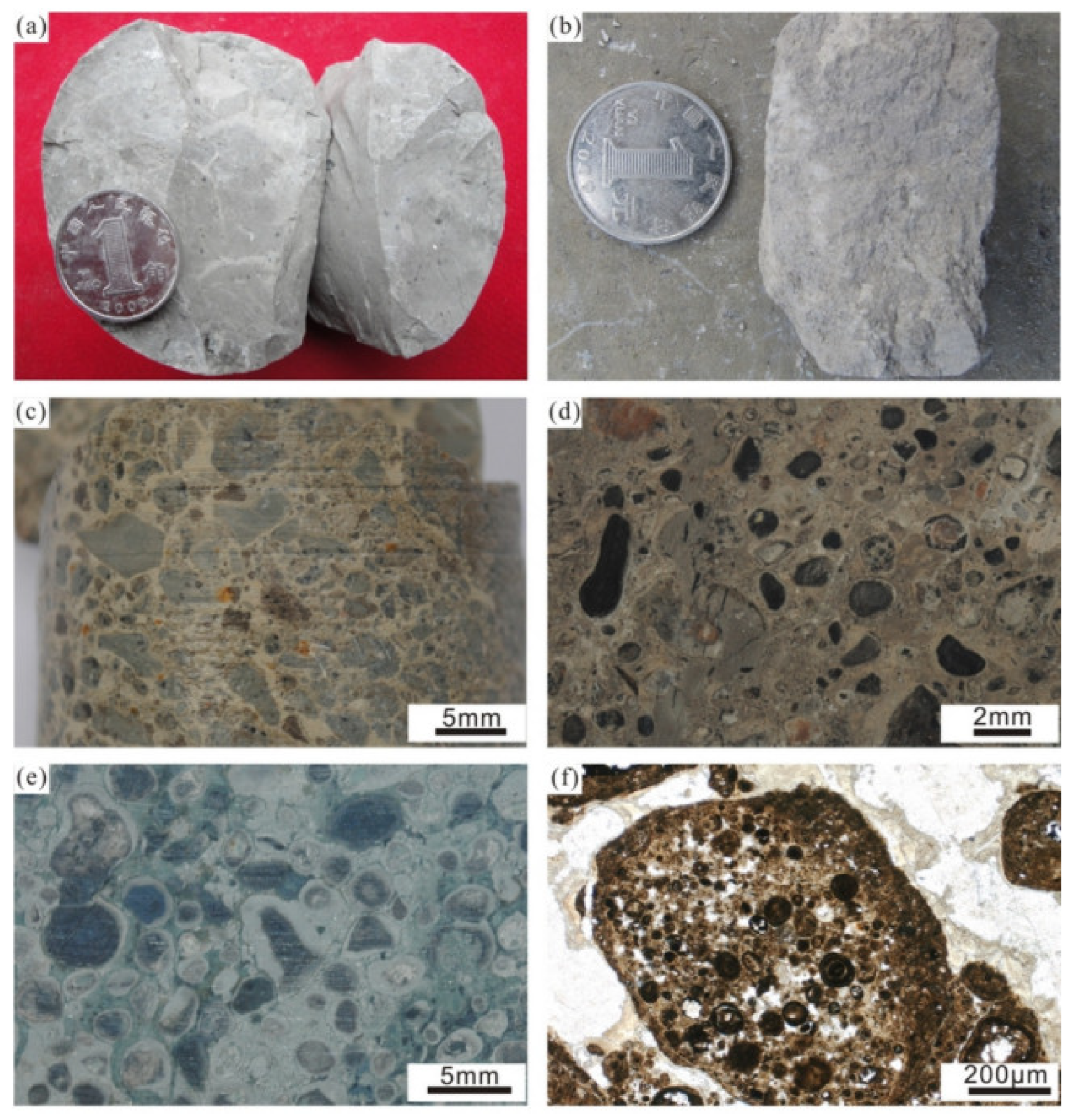 Sustainability 14 14301 g002 550