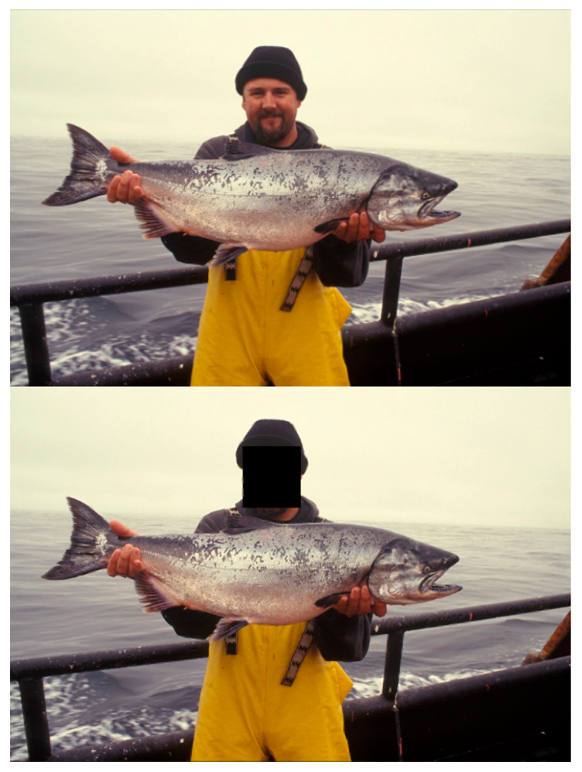 Sustainability 14 14324 g002