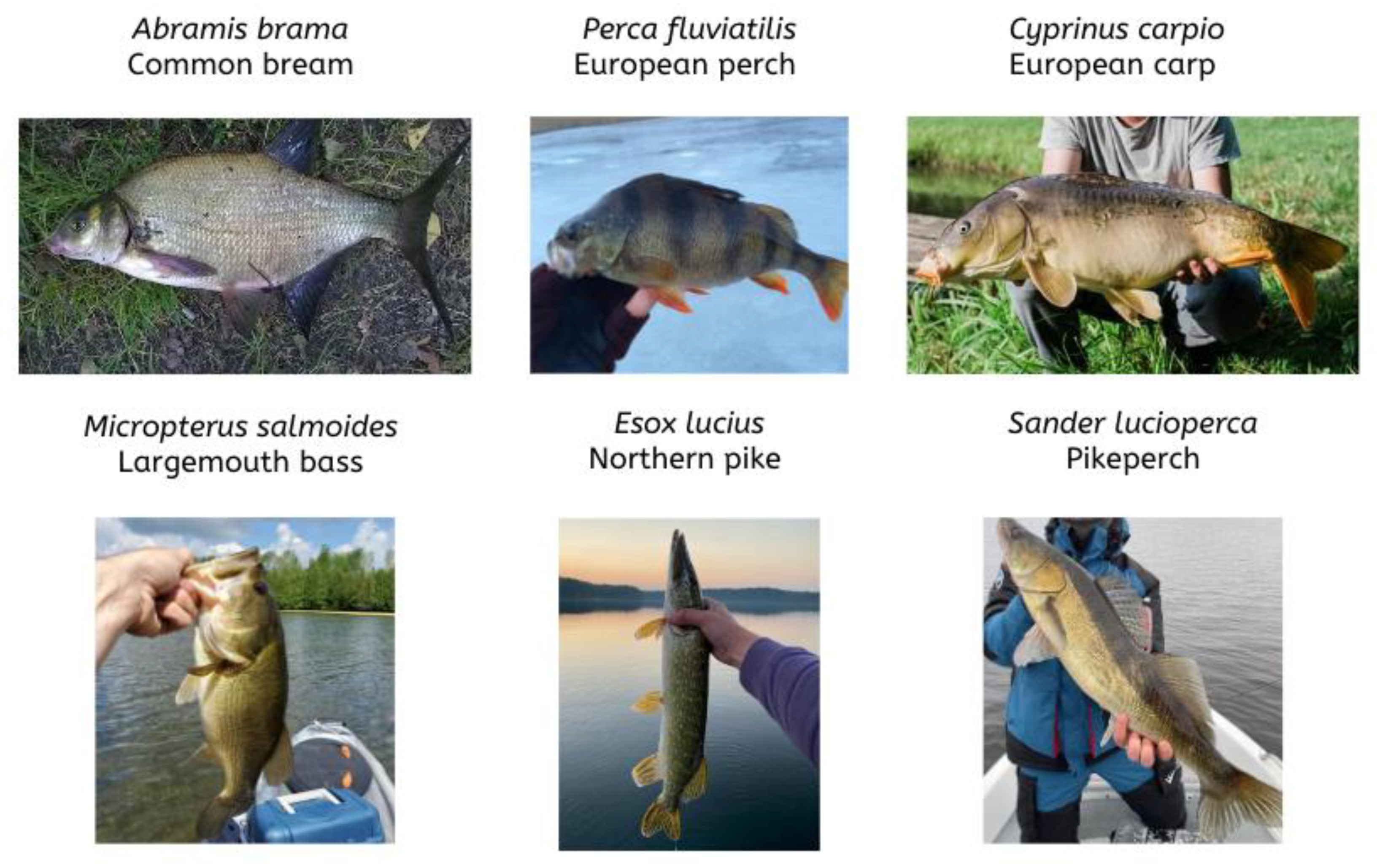 Sustainability 14 14324 g003