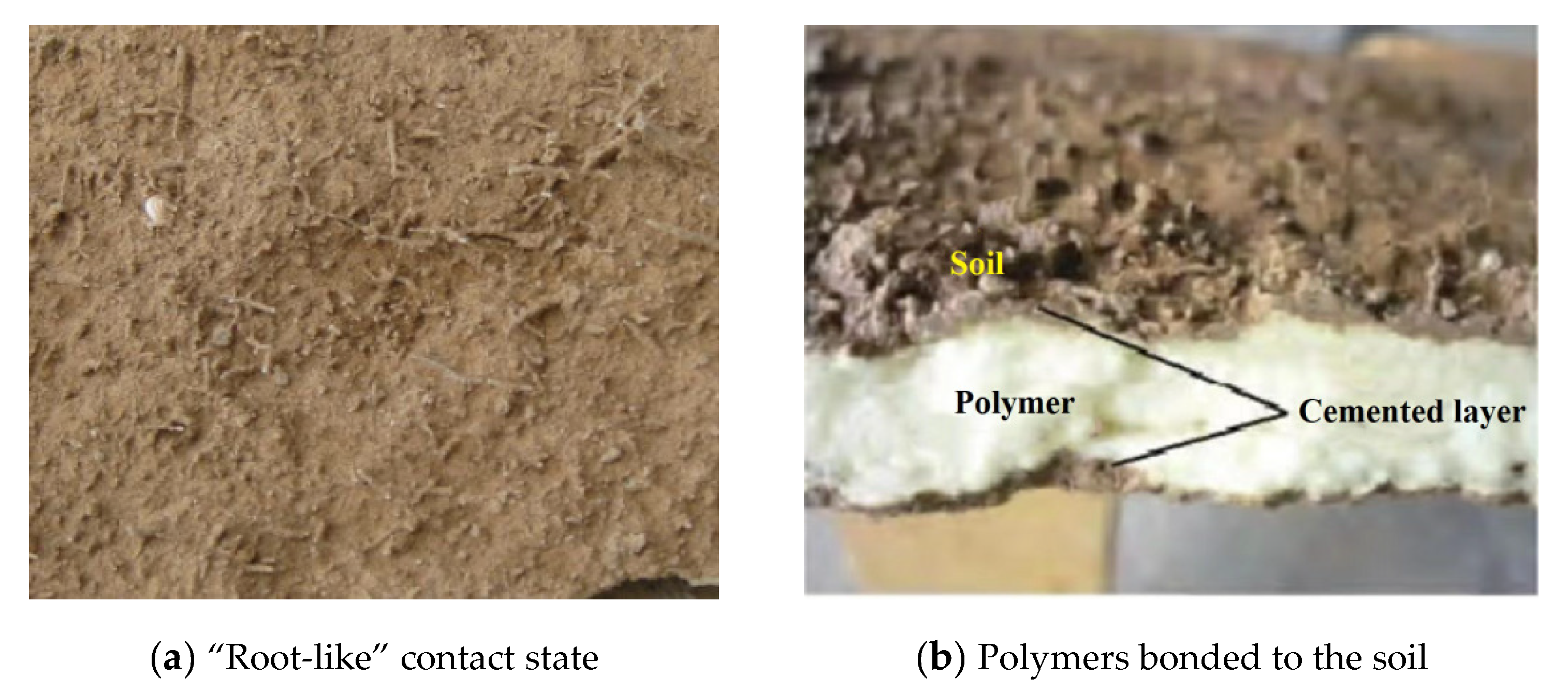 Sustainability 14 14357 g002 Sustainability 14 14357 g002