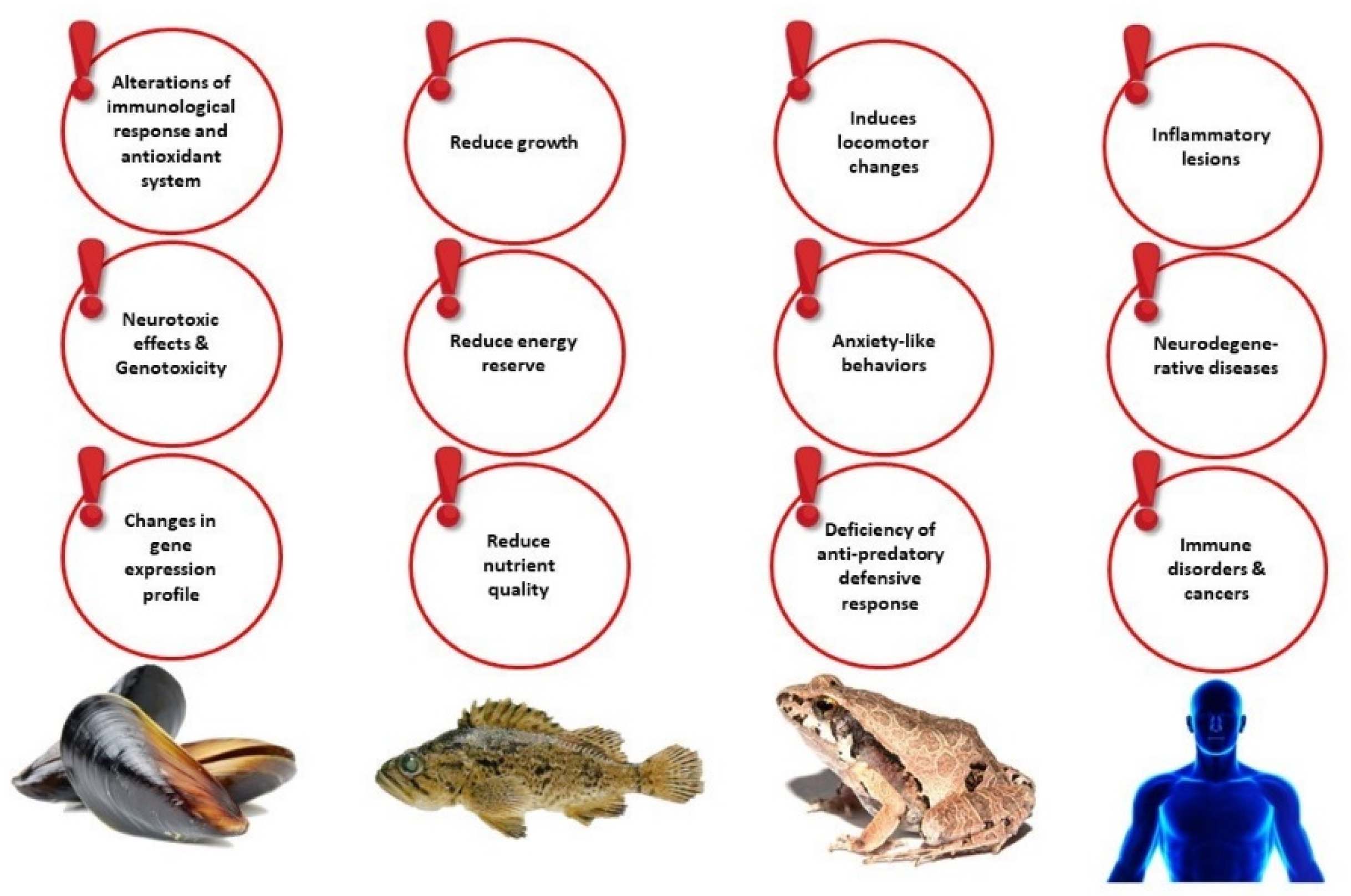 Sustainability 14 14376 g001 Sustainability 14 14376 g001