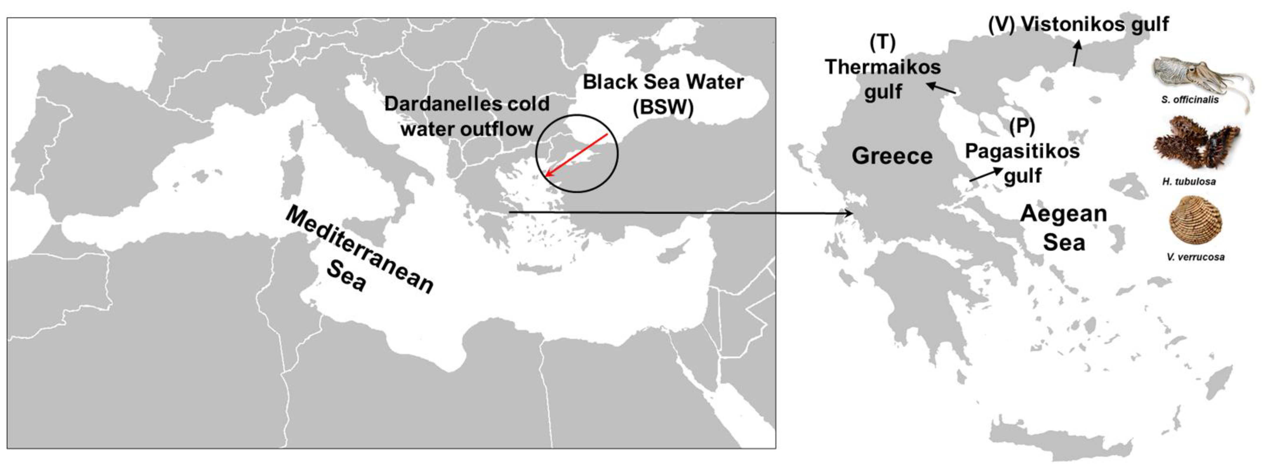 Sustainability 14 14380 g001 Sustainability 14 14380 g001