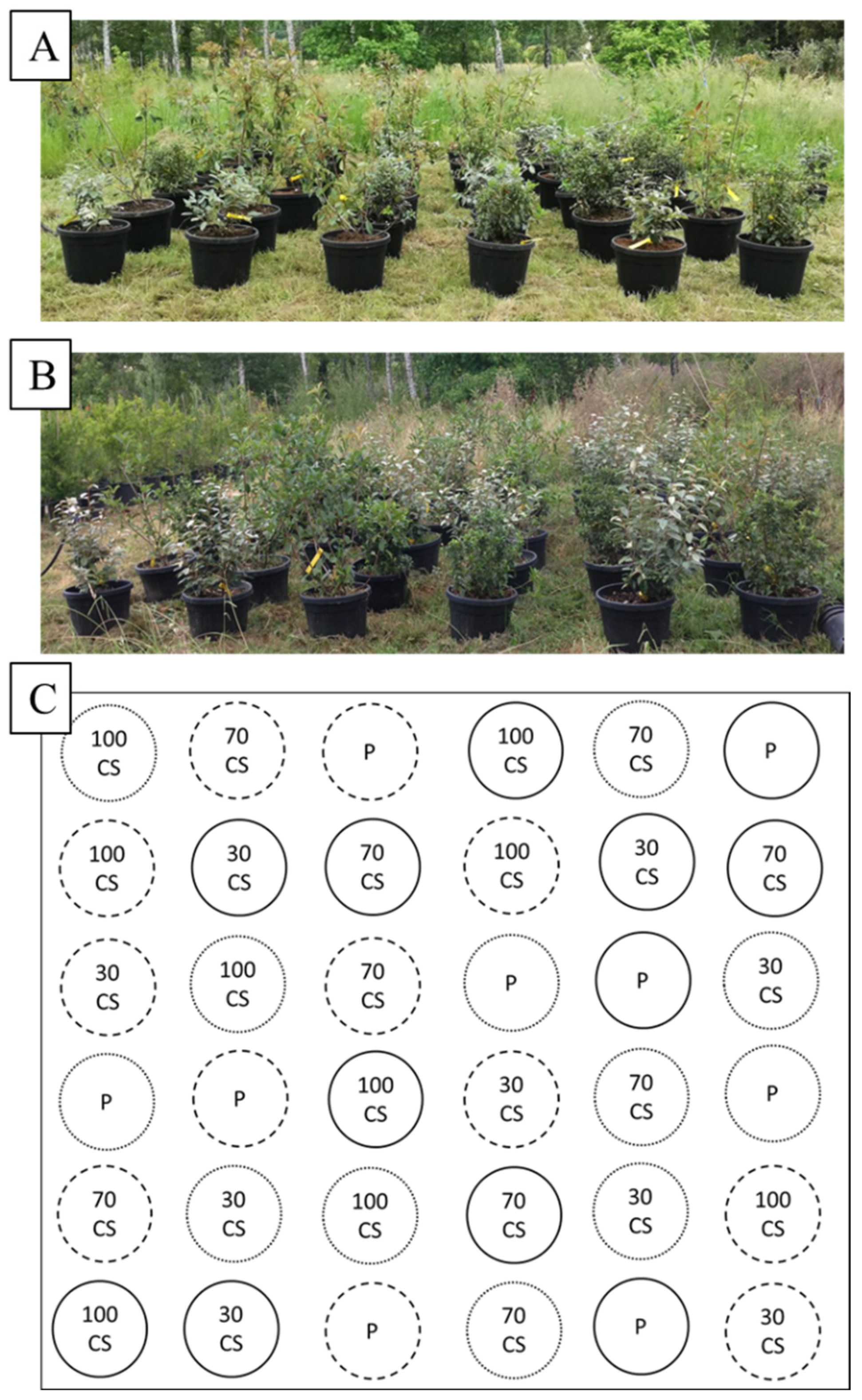 Sustainability 14 14419 g001