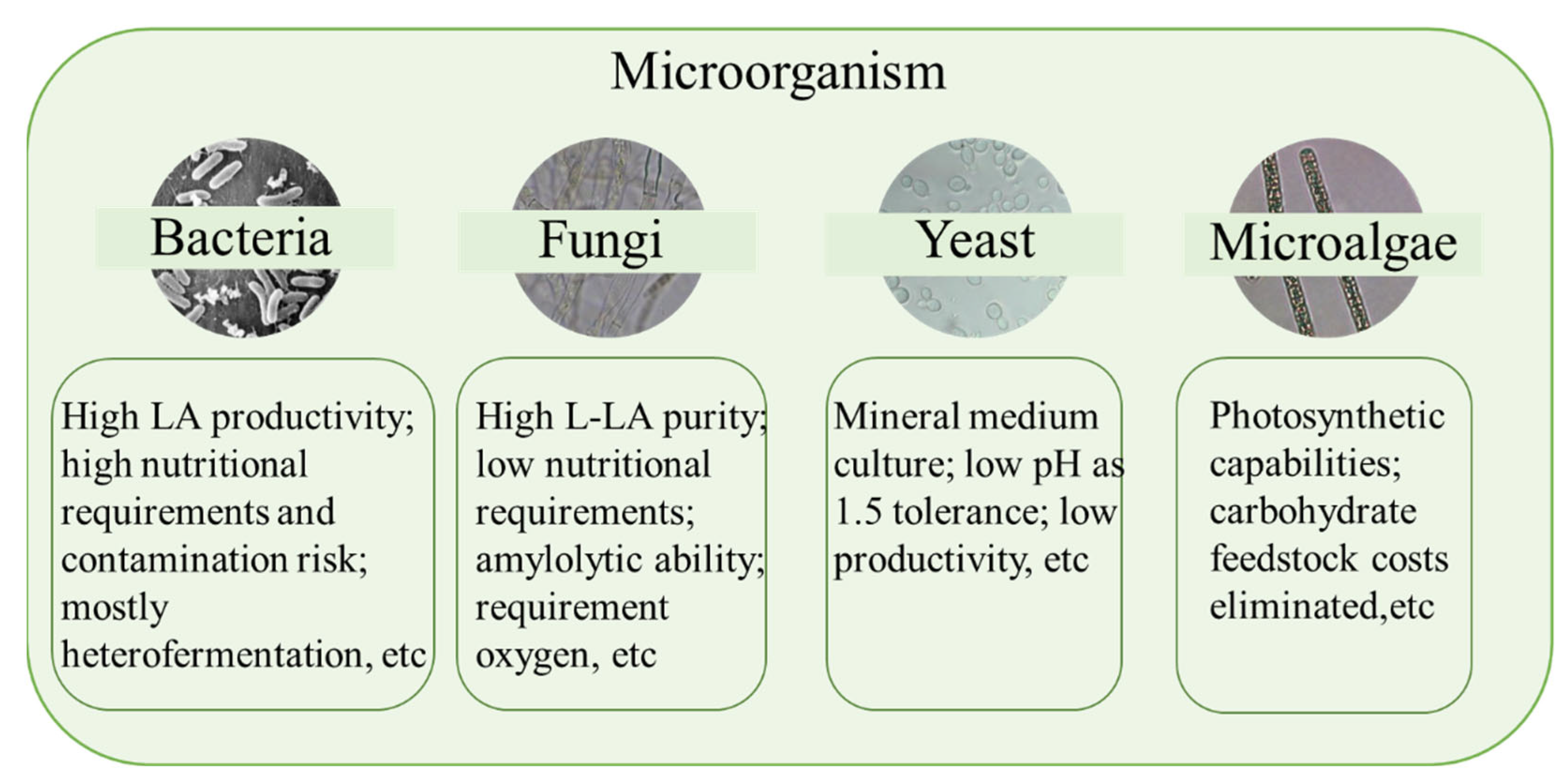 Sustainability 14 14434 g002 Sustainability 14 14434 g002